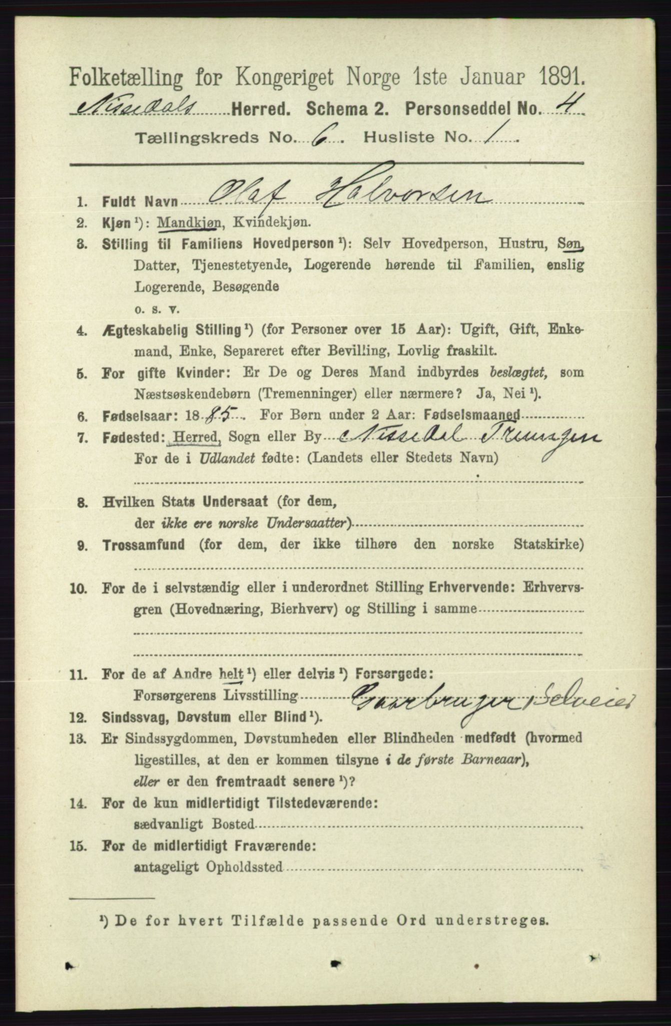 RA, 1891 census for 0830 Nissedal, 1891, p. 1335