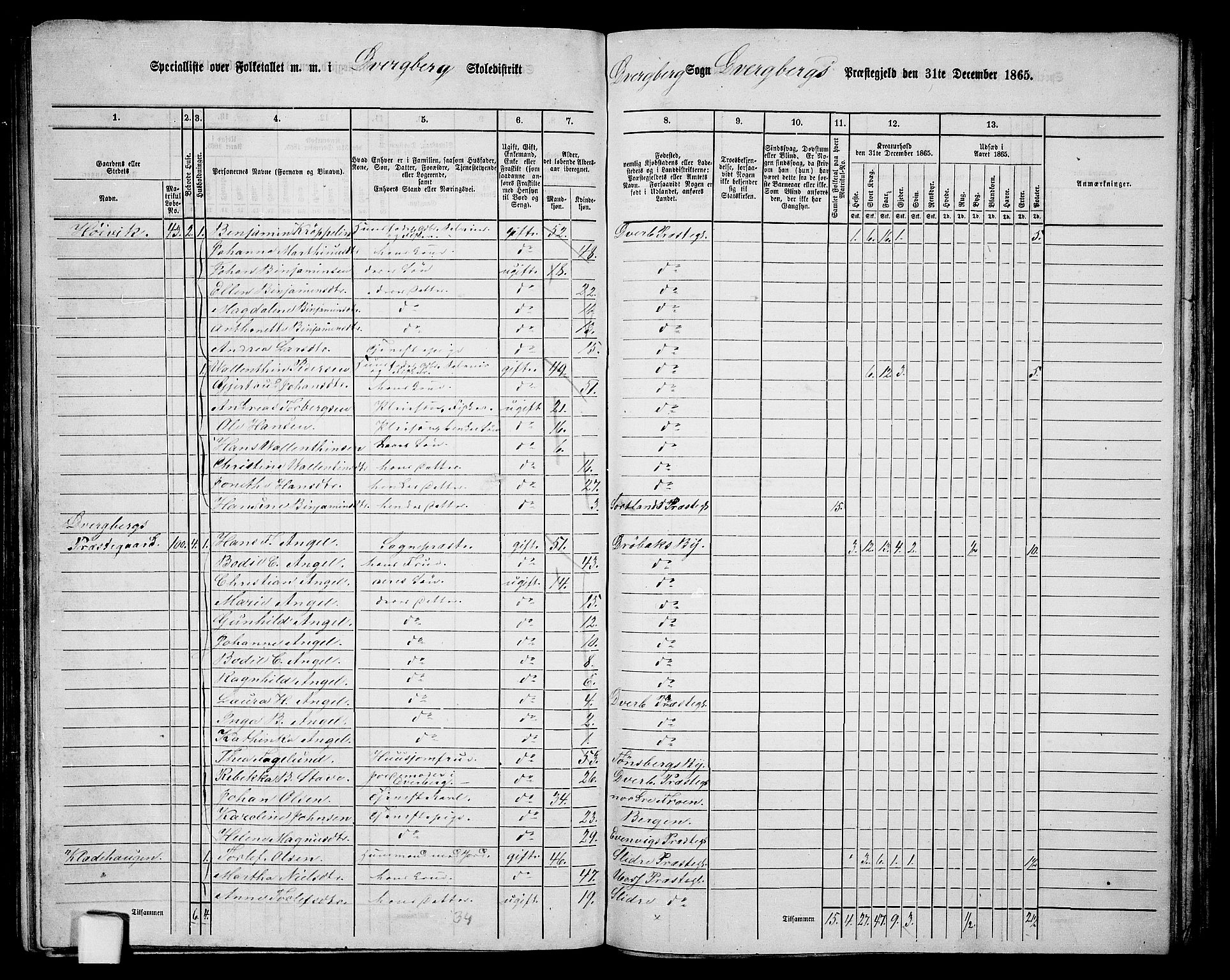 RA, 1865 census for Dverberg, 1865, p. 19