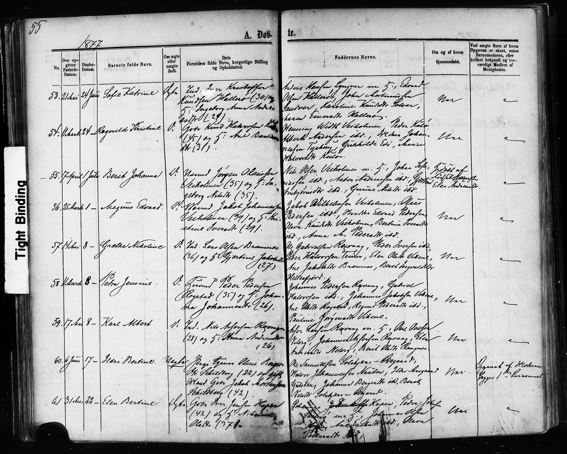 Ministerialprotokoller, klokkerbøker og fødselsregistre - Møre og Romsdal, AV/SAT-A-1454/581/L0938: Parish register (official) no. 581A06, 1873-1879, p. 55