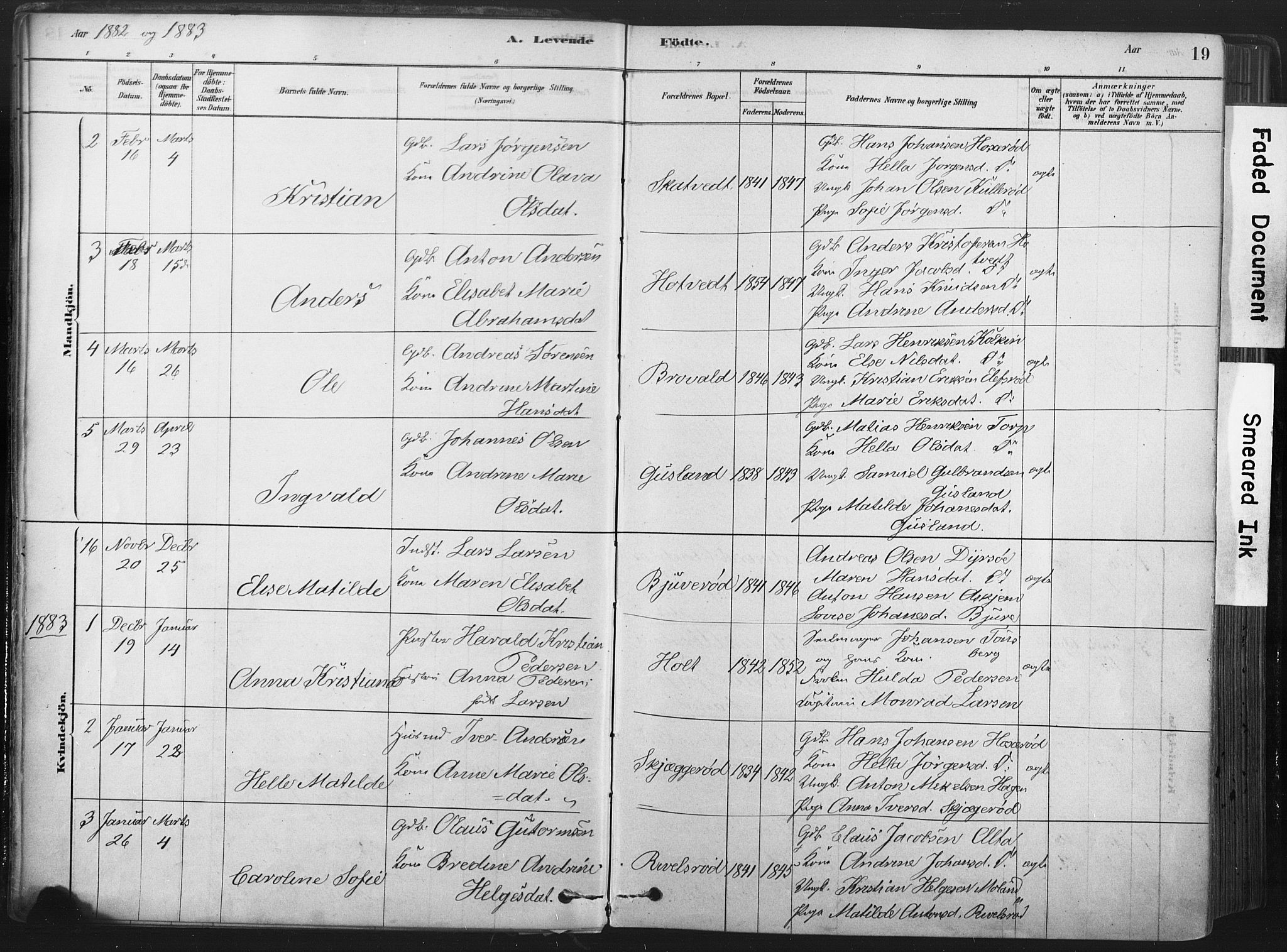 Andebu kirkebøker, AV/SAKO-A-336/F/Fa/L0007: Parish register (official) no. I 7, 1878-1899, p. 19
