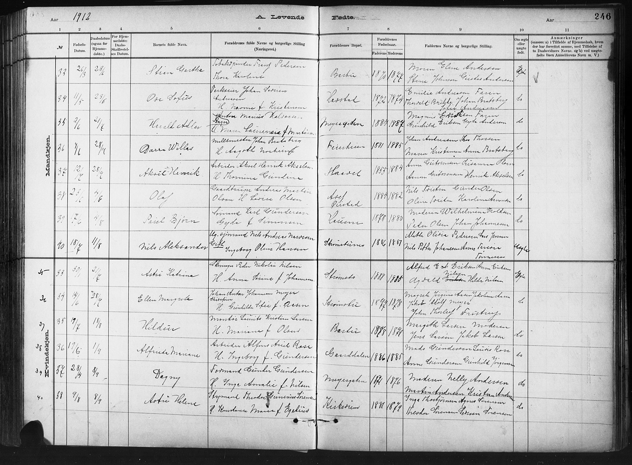 Barbu sokneprestkontor, AV/SAK-1111-0003/F/Fb/L0002: Parish register (copy) no. B 2, 1890-1922, p. 246