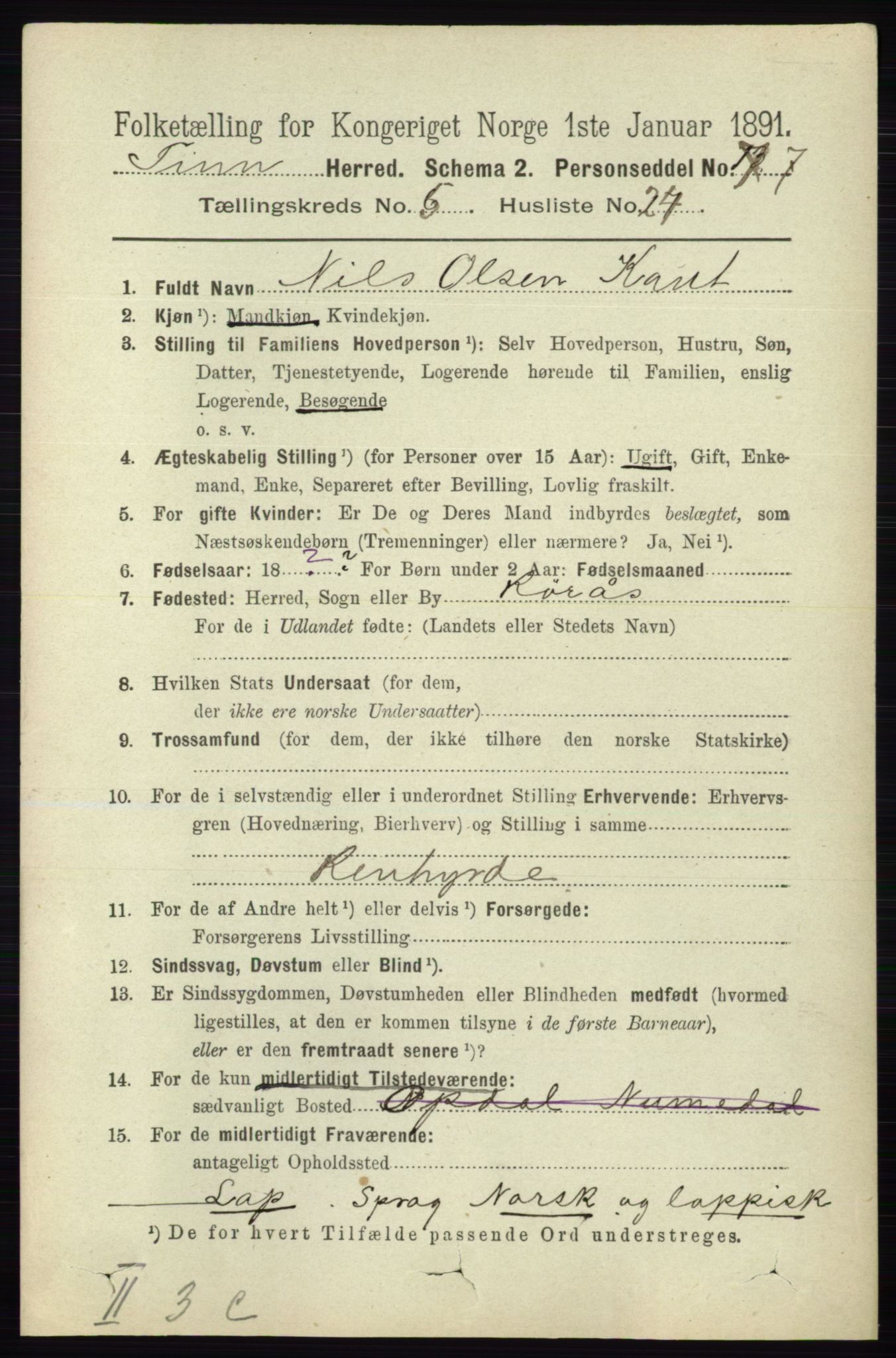 RA, 1891 census for 0826 Tinn, 1891, p. 1154