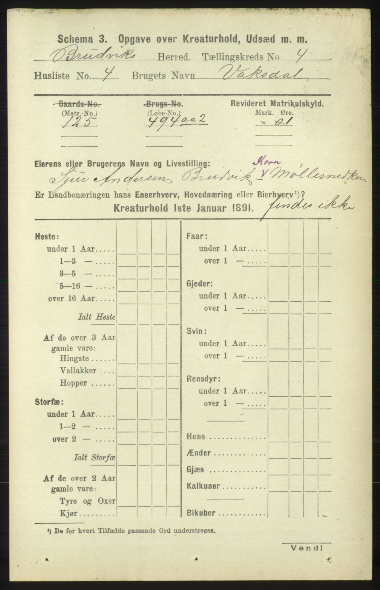 RA, 1891 census for 1251 Bruvik, 1891, p. 4400