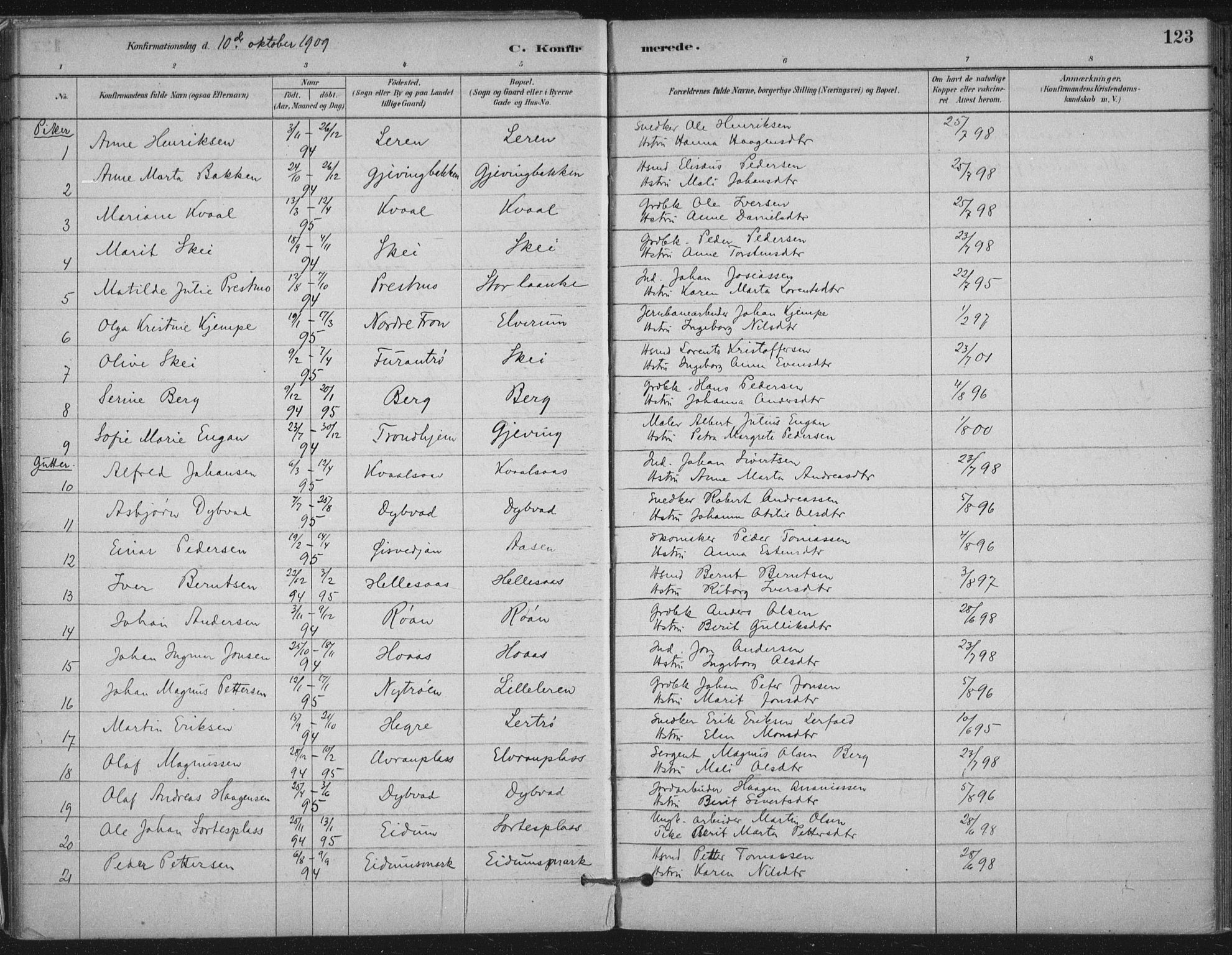 Ministerialprotokoller, klokkerbøker og fødselsregistre - Nord-Trøndelag, SAT/A-1458/710/L0095: Parish register (official) no. 710A01, 1880-1914, p. 123