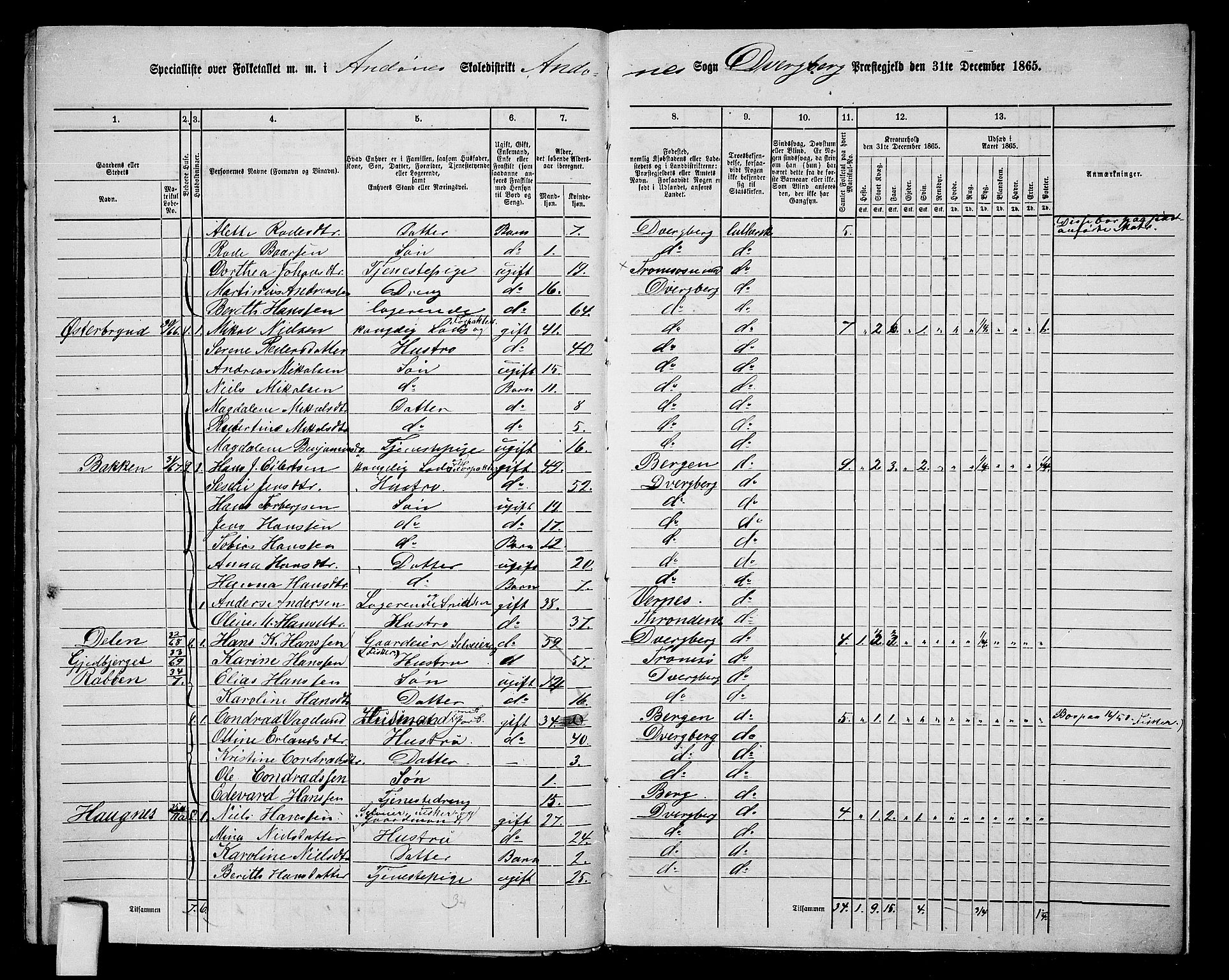 RA, 1865 census for Dverberg, 1865, p. 59