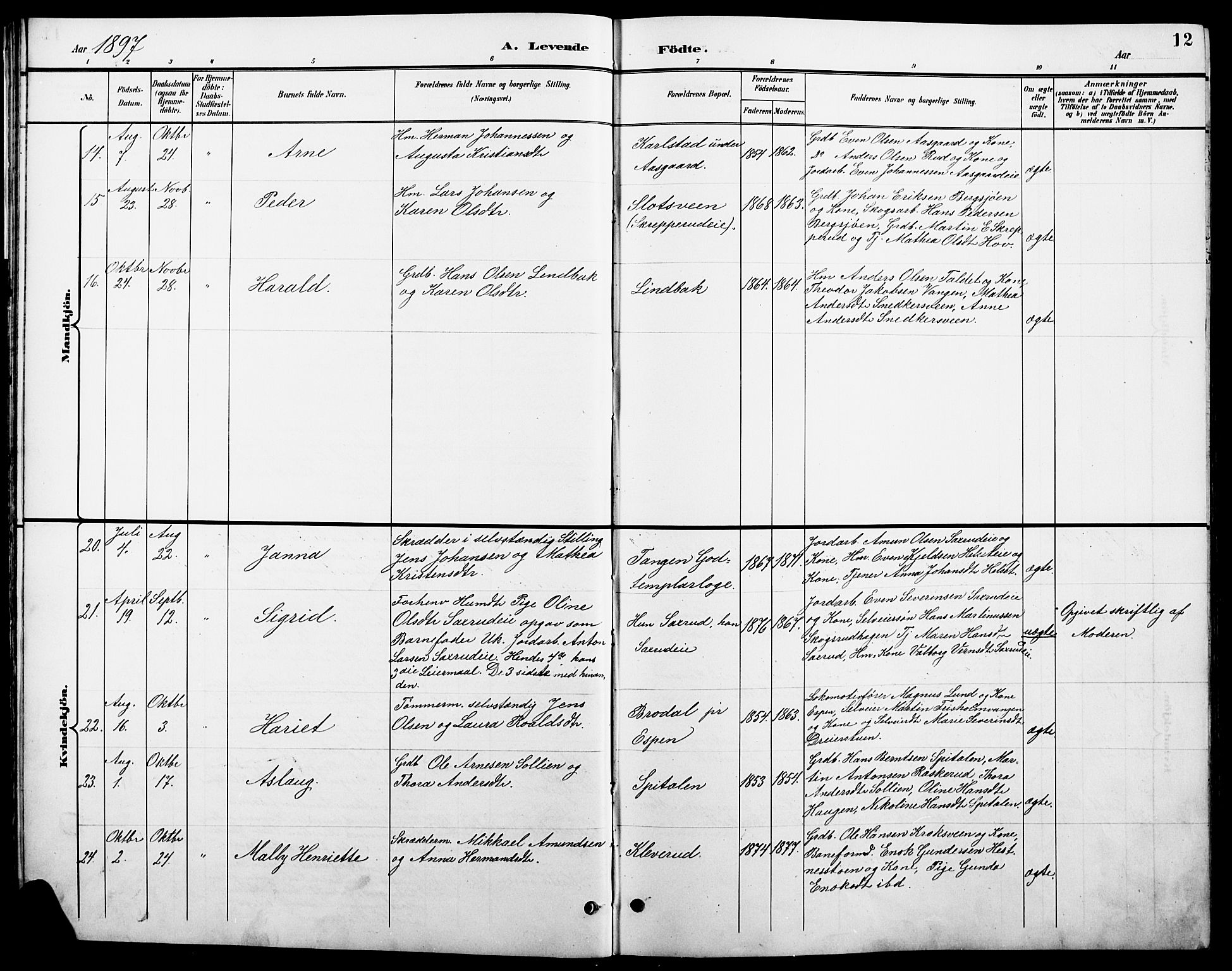 Stange prestekontor, AV/SAH-PREST-002/L/L0011: Parish register (copy) no. 11, 1895-1917, p. 12