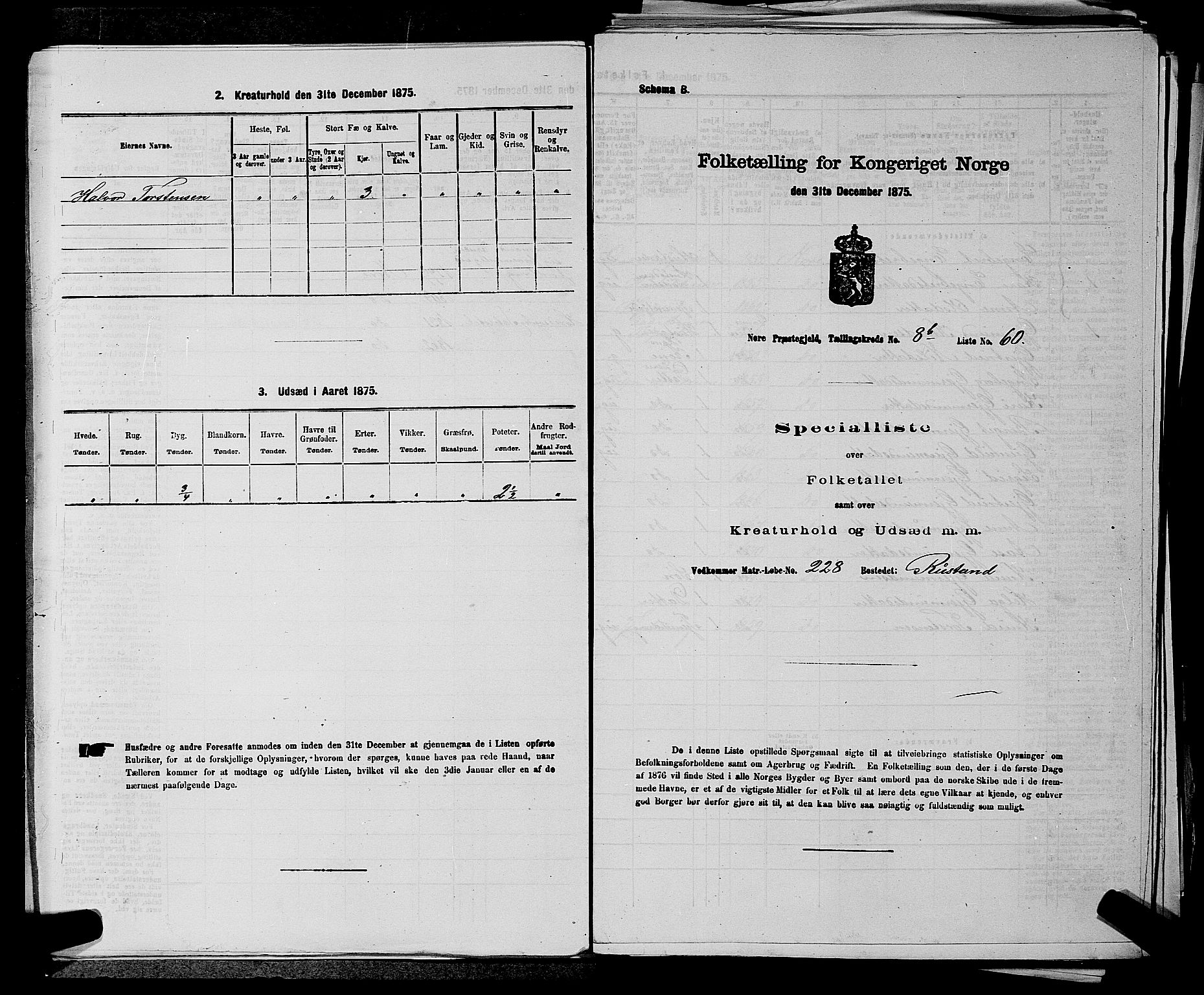 SAKO, 1875 census for 0633P Nore, 1875, p. 1017