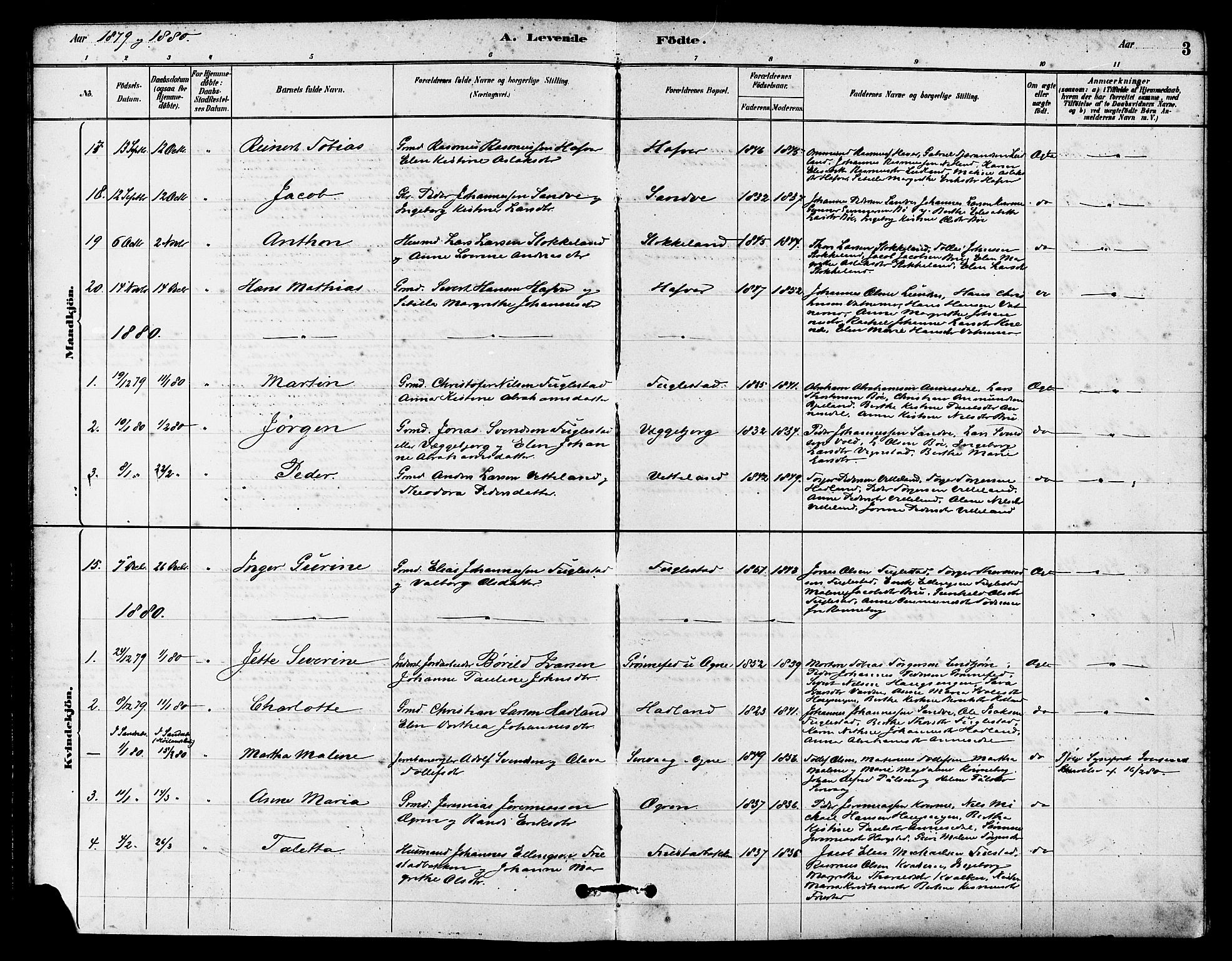 Eigersund sokneprestkontor, AV/SAST-A-101807/S08/L0016: Parish register (official) no. A 16, 1879-1893, p. 3