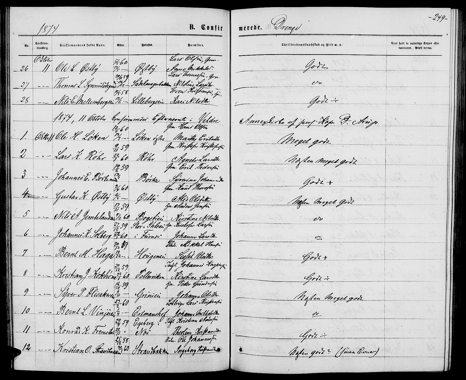 Ringsaker prestekontor, AV/SAH-PREST-014/L/La/L0008: Parish register (copy) no. 8, 1870-1878, p. 249