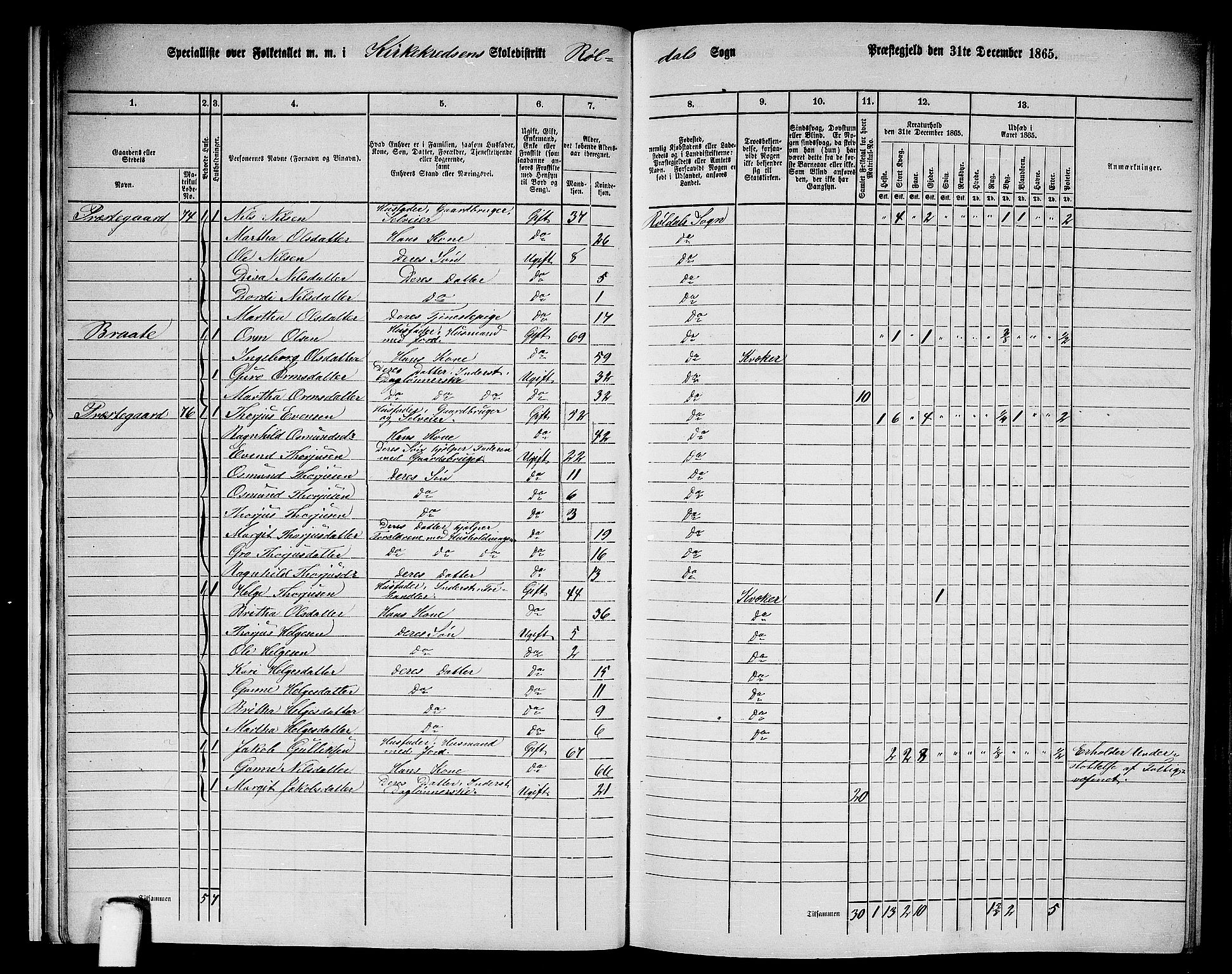 RA, 1865 census for Suldal, 1865, p. 143