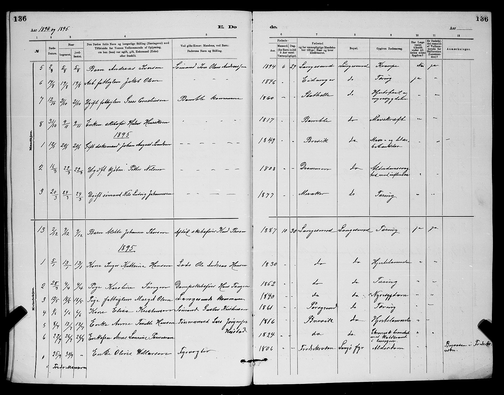Langesund kirkebøker, AV/SAKO-A-280/G/Ga/L0005: Parish register (copy) no. 5, 1884-1898, p. 136