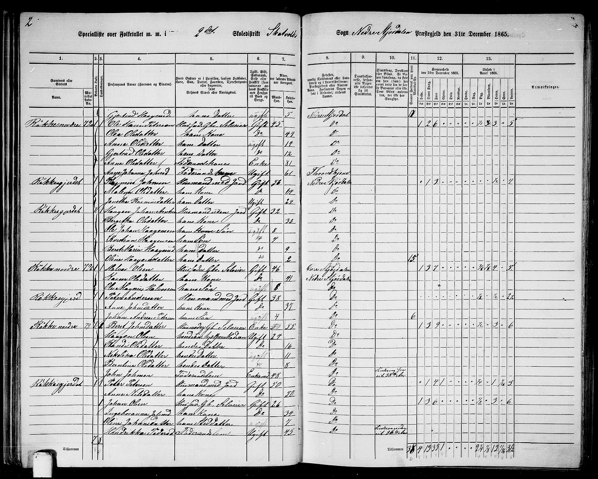 RA, 1865 census for Nedre Stjørdal, 1865, p. 37