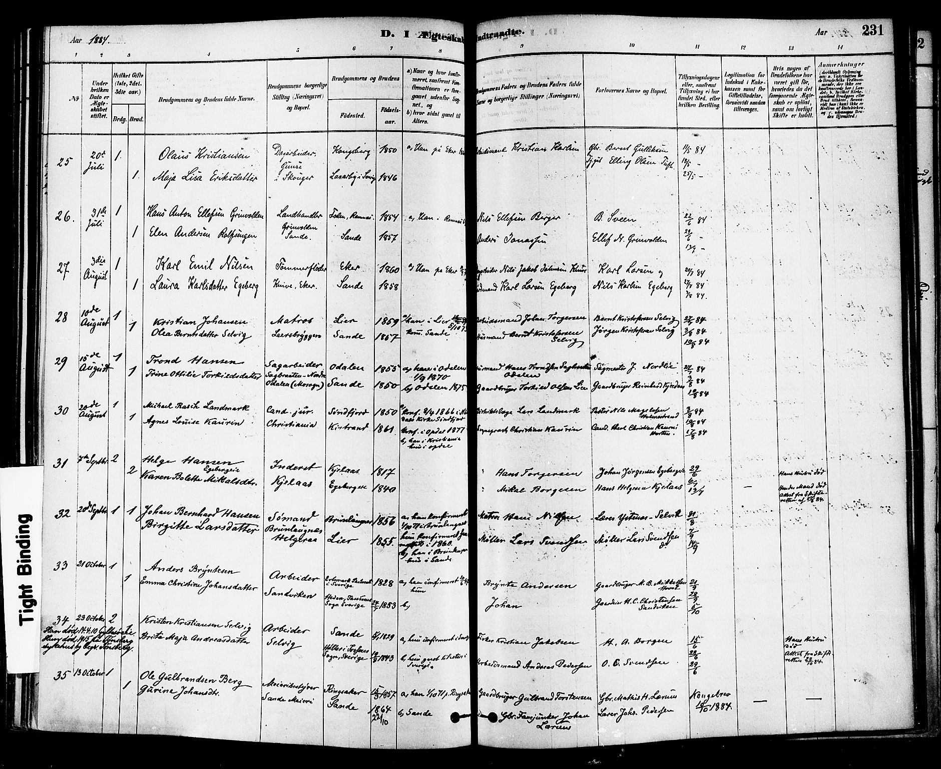 Sande Kirkebøker, AV/SAKO-A-53/F/Fa/L0006: Parish register (official) no. 6, 1878-1888, p. 231