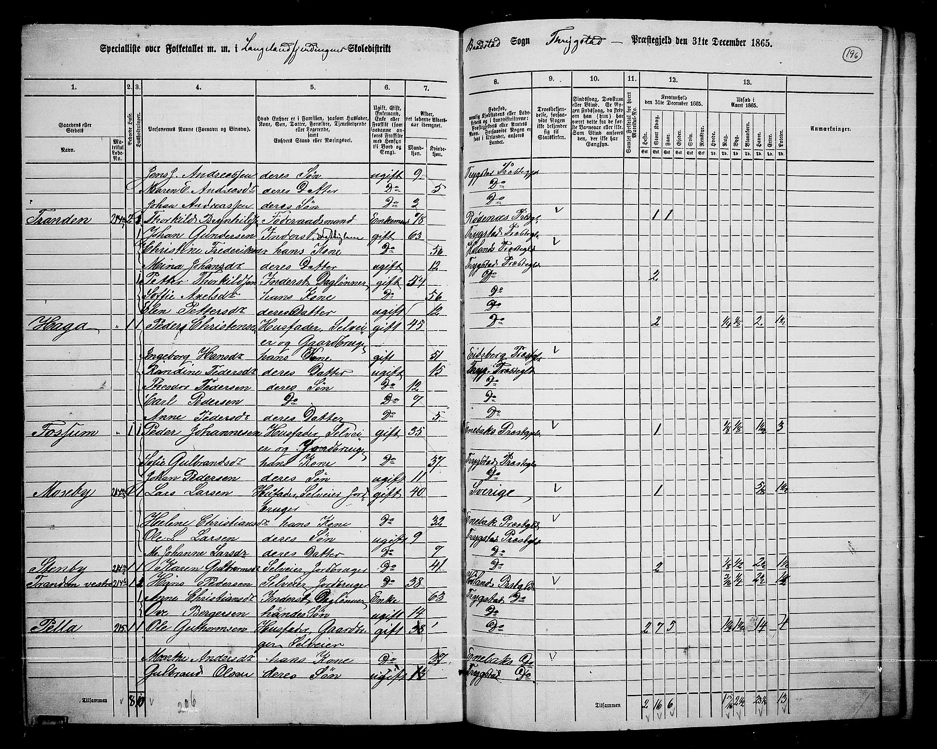 RA, 1865 census for Trøgstad, 1865, p. 171