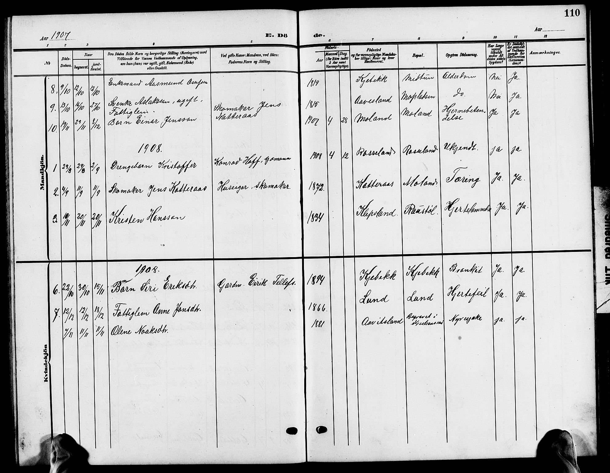 Evje sokneprestkontor, AV/SAK-1111-0008/F/Fb/Fba/L0004: Parish register (copy) no. B 4, 1899-1914, p. 110