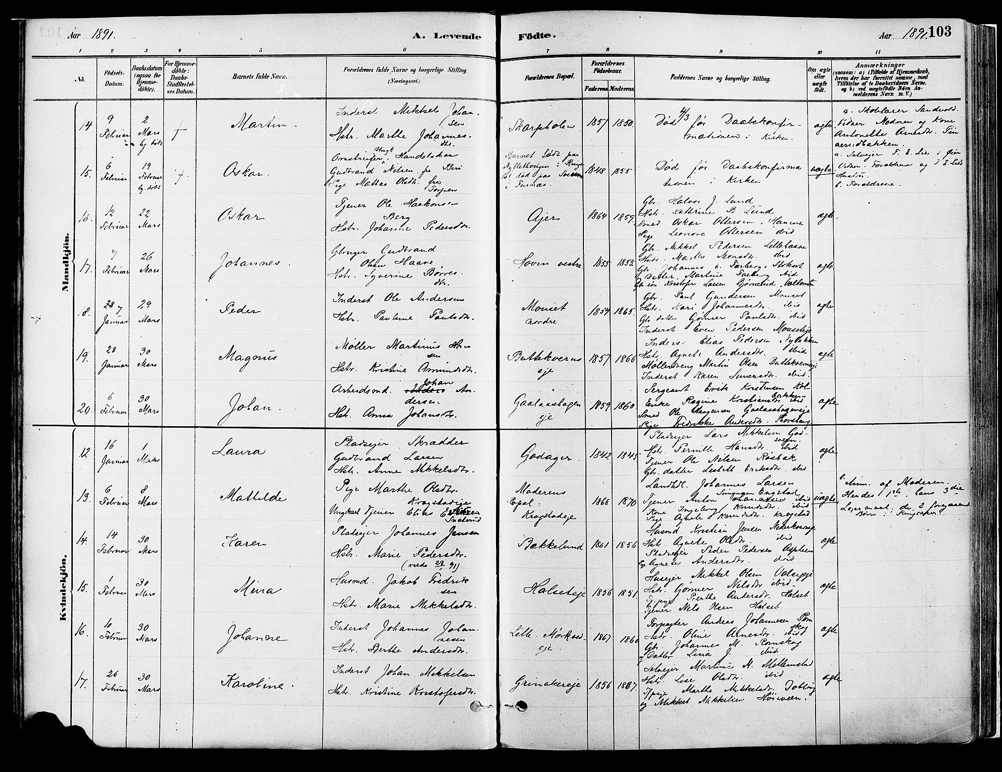 Vang prestekontor, Hedmark, AV/SAH-PREST-008/H/Ha/Haa/L0018A: Parish register (official) no. 18A, 1880-1906, p. 103