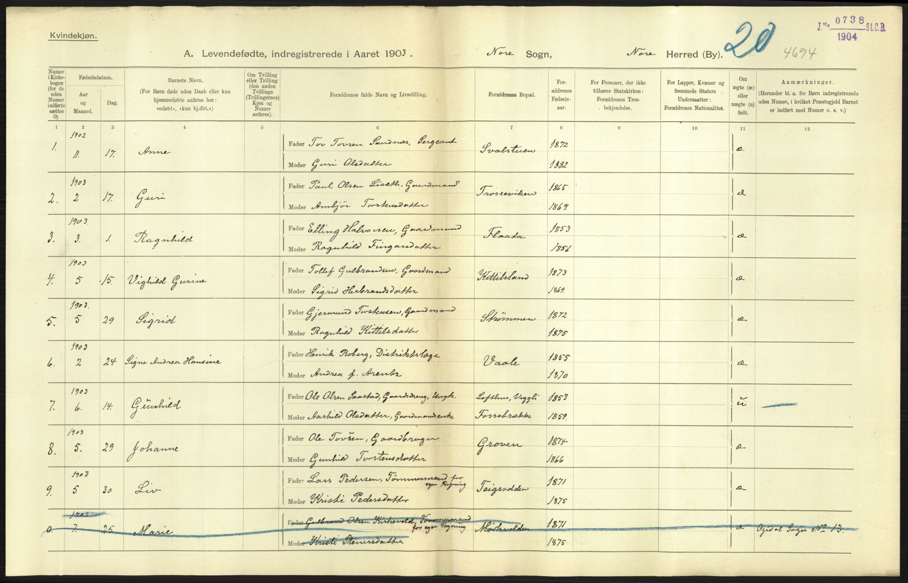 Statistisk sentralbyrå, Sosiodemografiske emner, Befolkning, AV/RA-S-2228/D/Df/Dfa/Dfaa/L0007: Buskeruds amt: Fødte, gifte, døde, 1903, p. 15