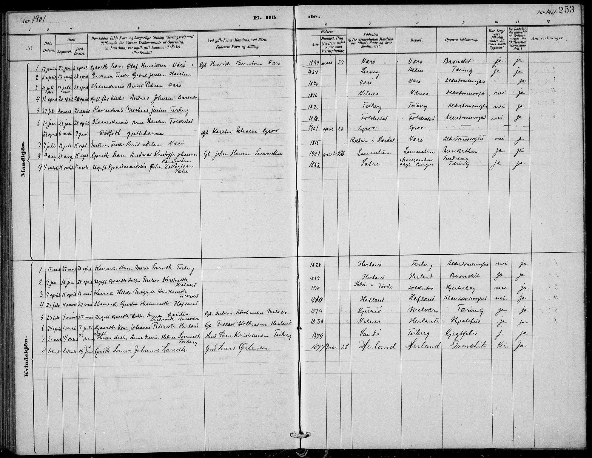 Askvoll sokneprestembete, SAB/A-79501/H/Hab/Habb/L0001: Parish register (copy) no. B 1, 1879-1909, p. 253