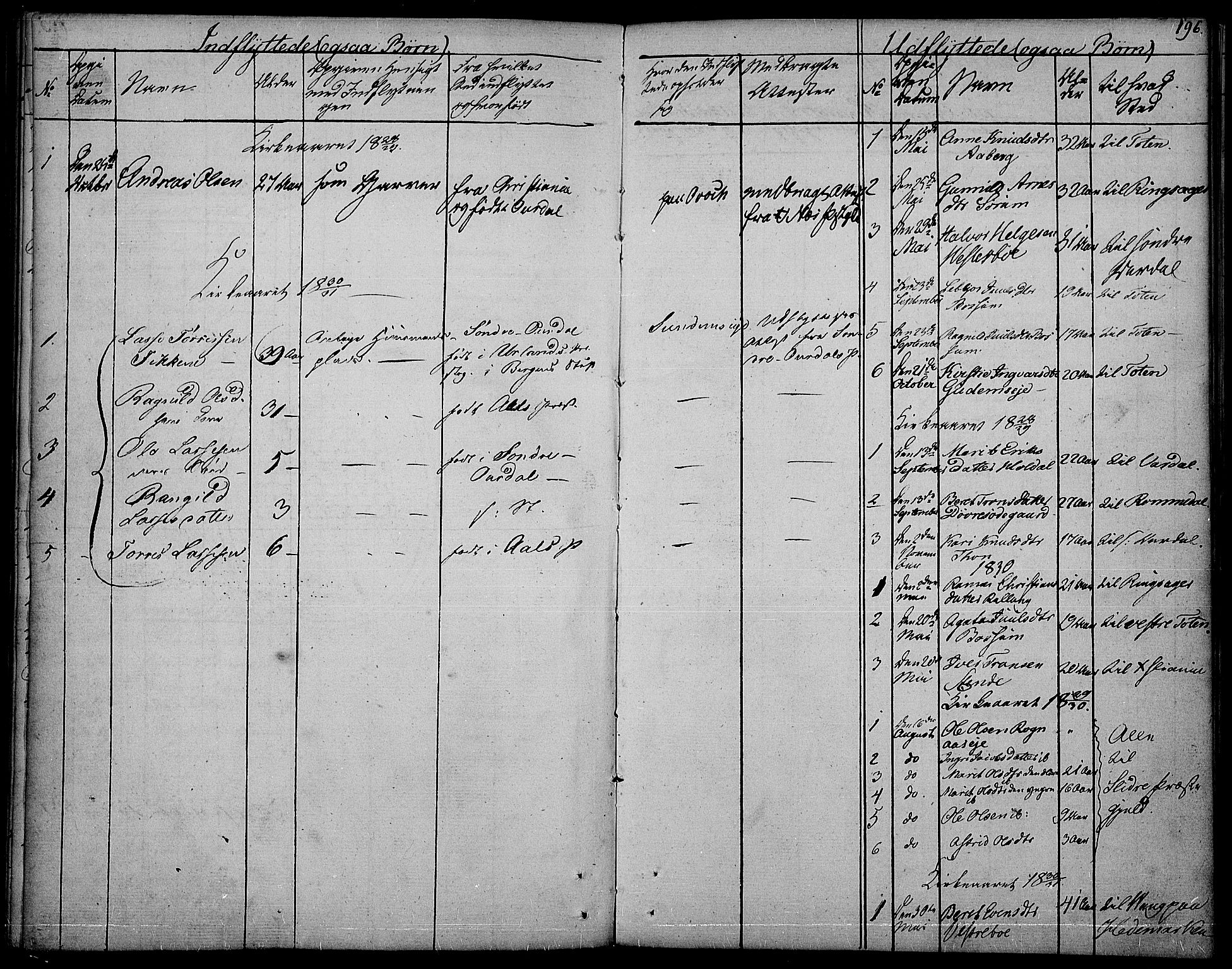 Nord-Aurdal prestekontor, SAH/PREST-132/H/Ha/Haa/L0003: Parish register (official) no. 3, 1828-1841, p. 196