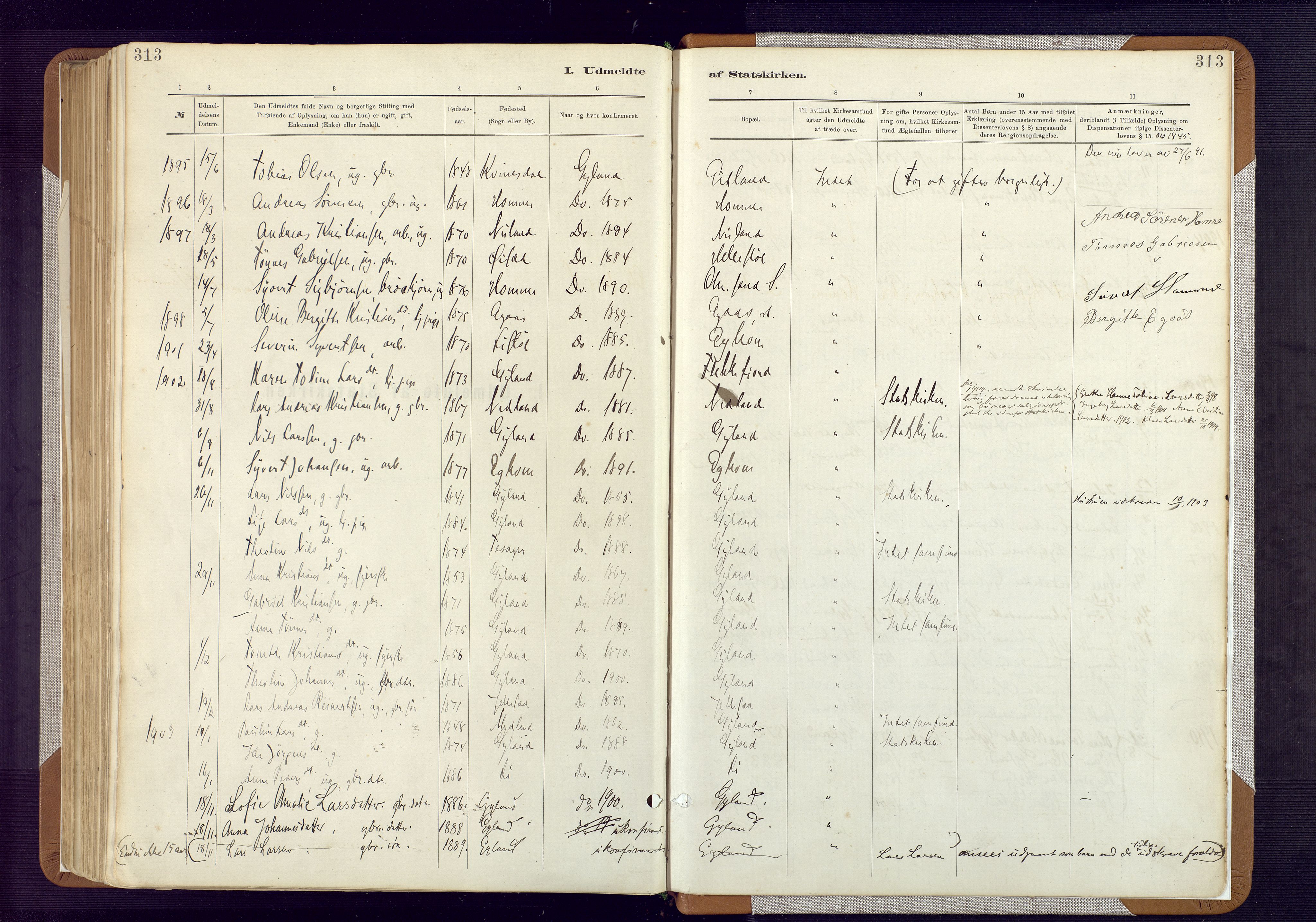 Bakke sokneprestkontor, SAK/1111-0002/F/Fa/Fab/L0003: Parish register (official) no. A 3, 1884-1921, p. 313
