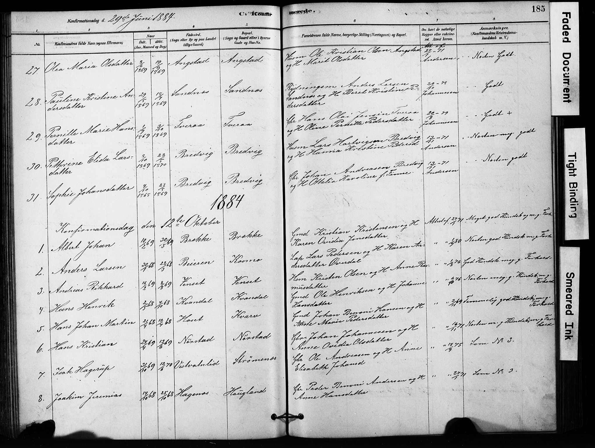 Ministerialprotokoller, klokkerbøker og fødselsregistre - Nordland, AV/SAT-A-1459/852/L0754: Parish register (copy) no. 852C05, 1878-1894, p. 185