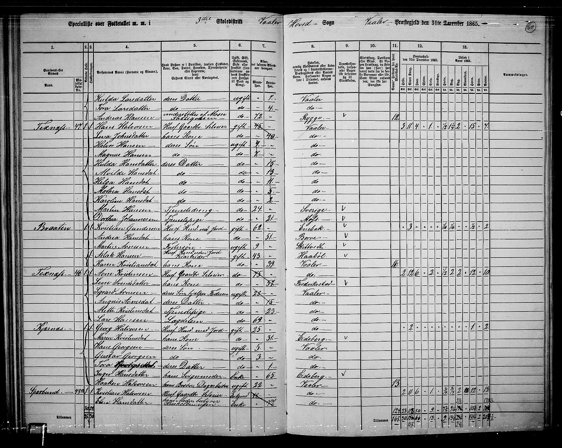 RA, 1865 census for Våler, 1865, p. 55