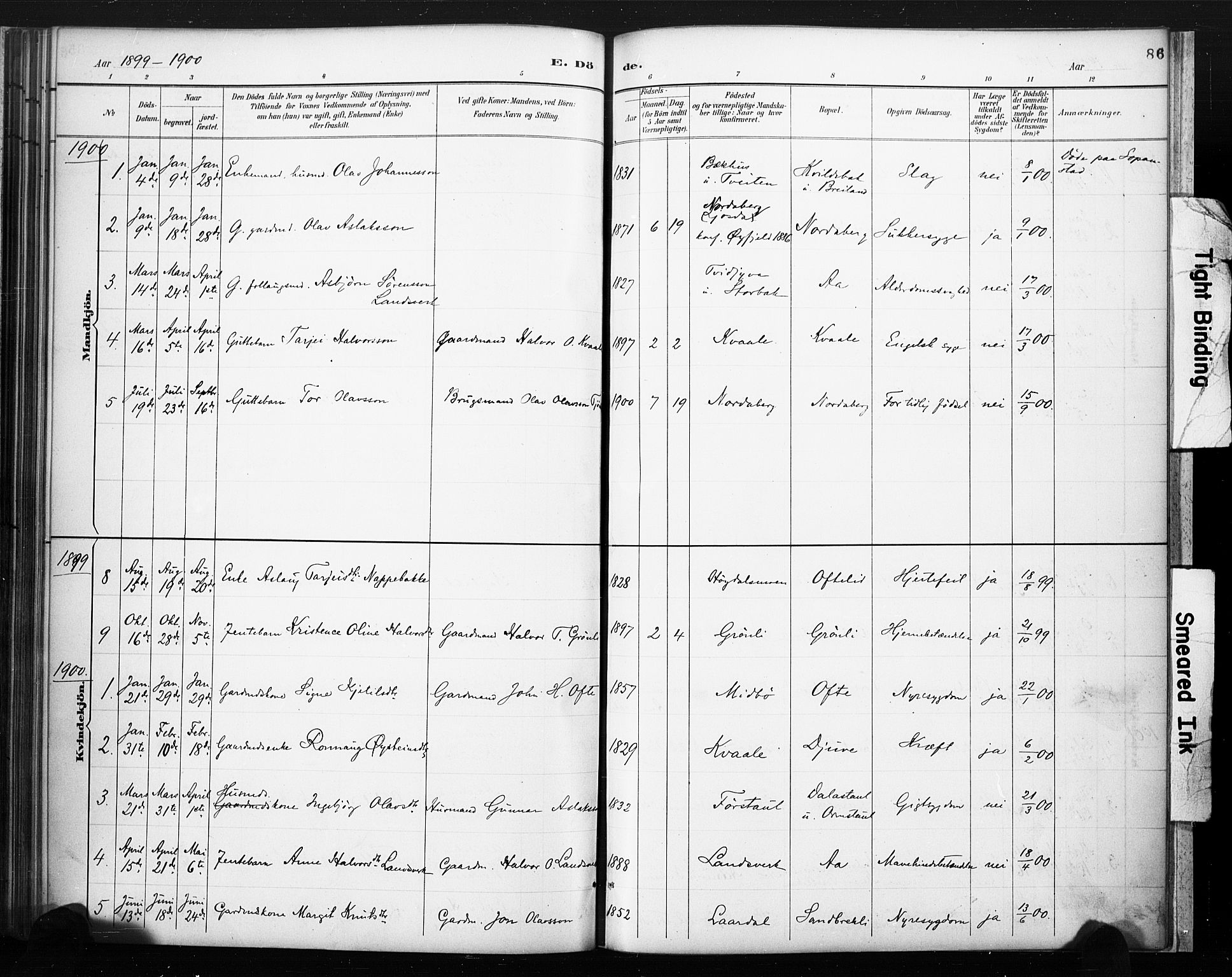 Lårdal kirkebøker, SAKO/A-284/F/Fc/L0002: Parish register (official) no. III 2, 1887-1906, p. 86