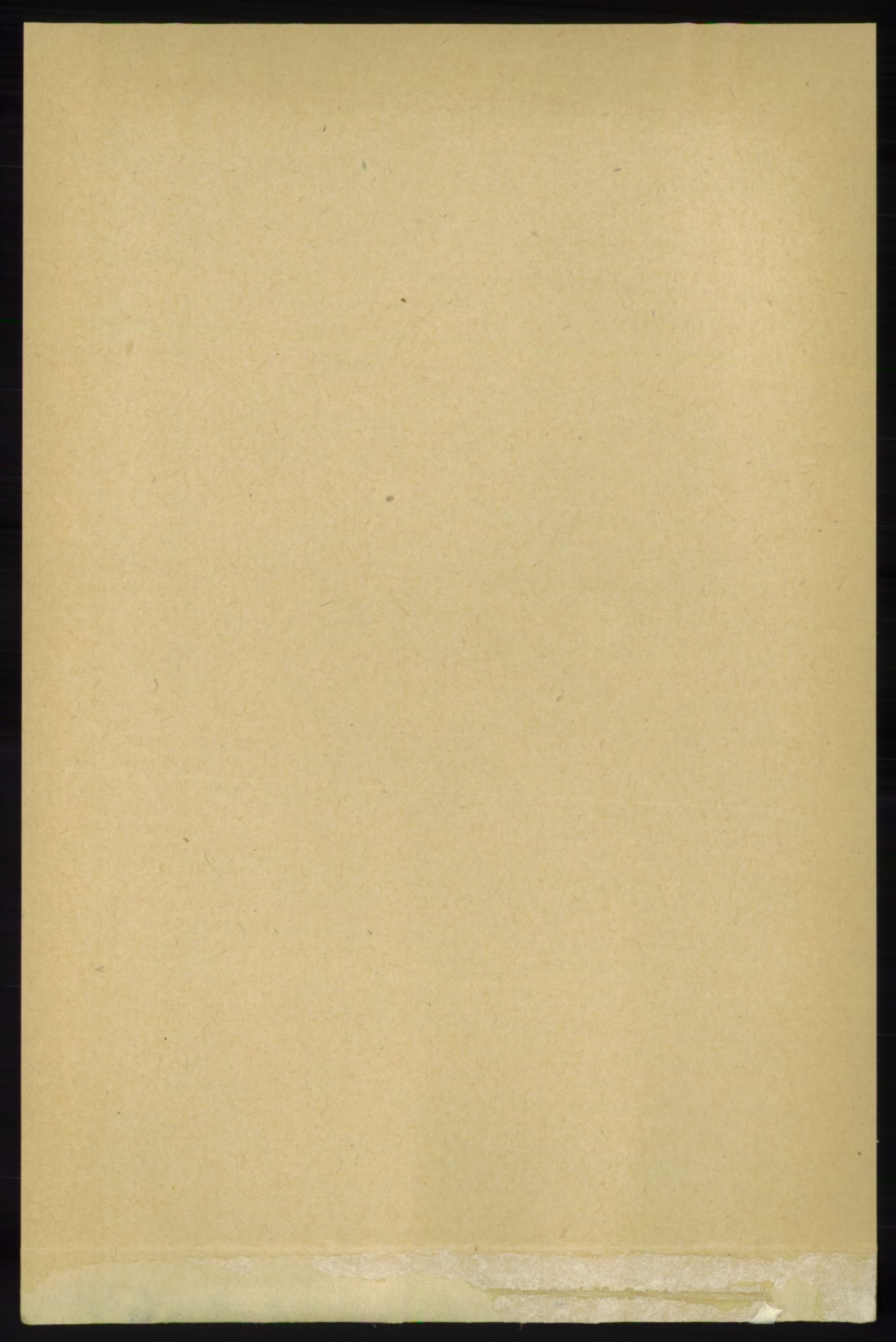 RA, 1891 census for 1138 Jelsa, 1891, p. 1061