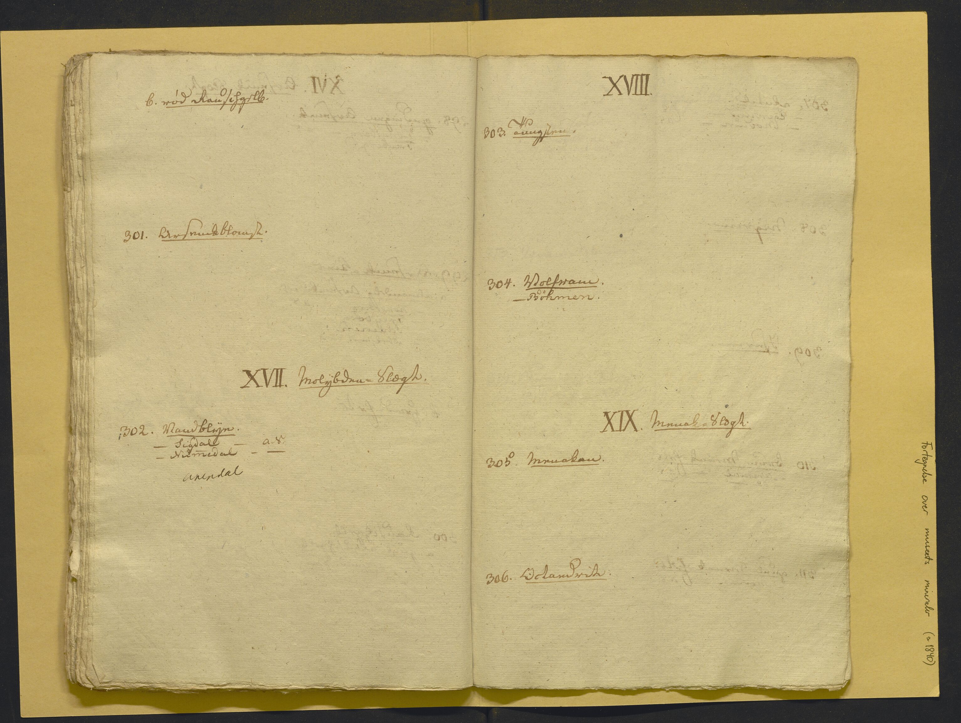 Bergens Museum, AV/SAB-A-17301/02/F/L0001: Kataloger over gjenstander og pergamentbrev , 1825-1880, p. 484