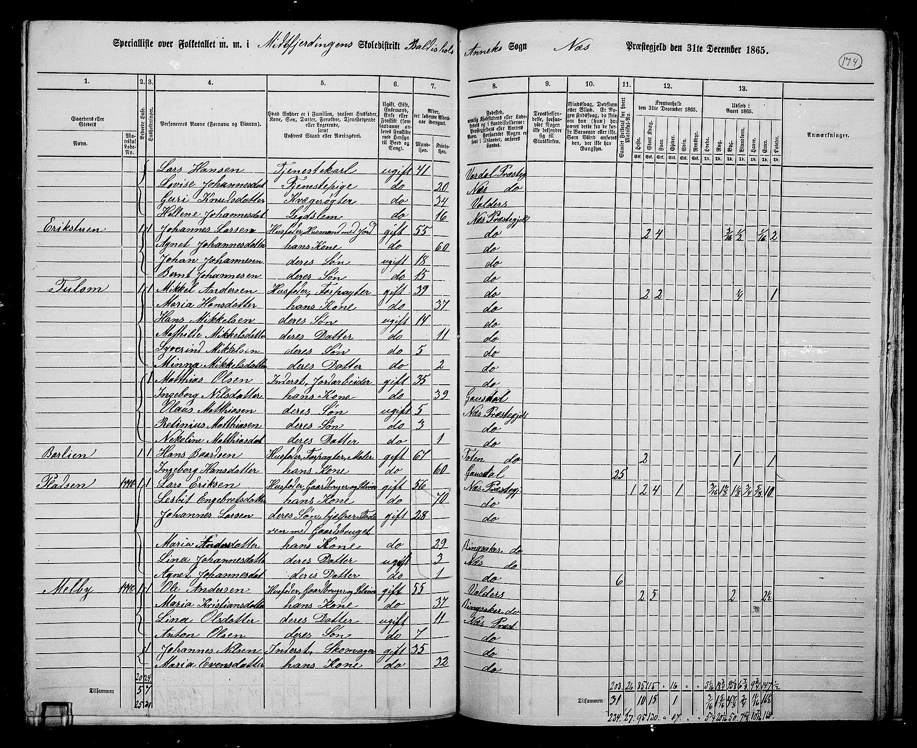RA, 1865 census for Nes, 1865, p. 150