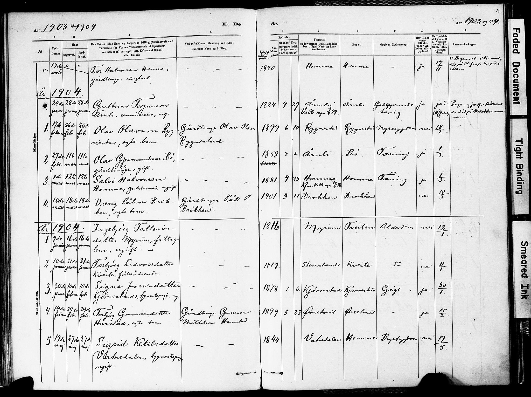 Valle sokneprestkontor, AV/SAK-1111-0044/F/Fa/Fac/L0009: Parish register (official) no. A 9, 1882-1913, p. 225