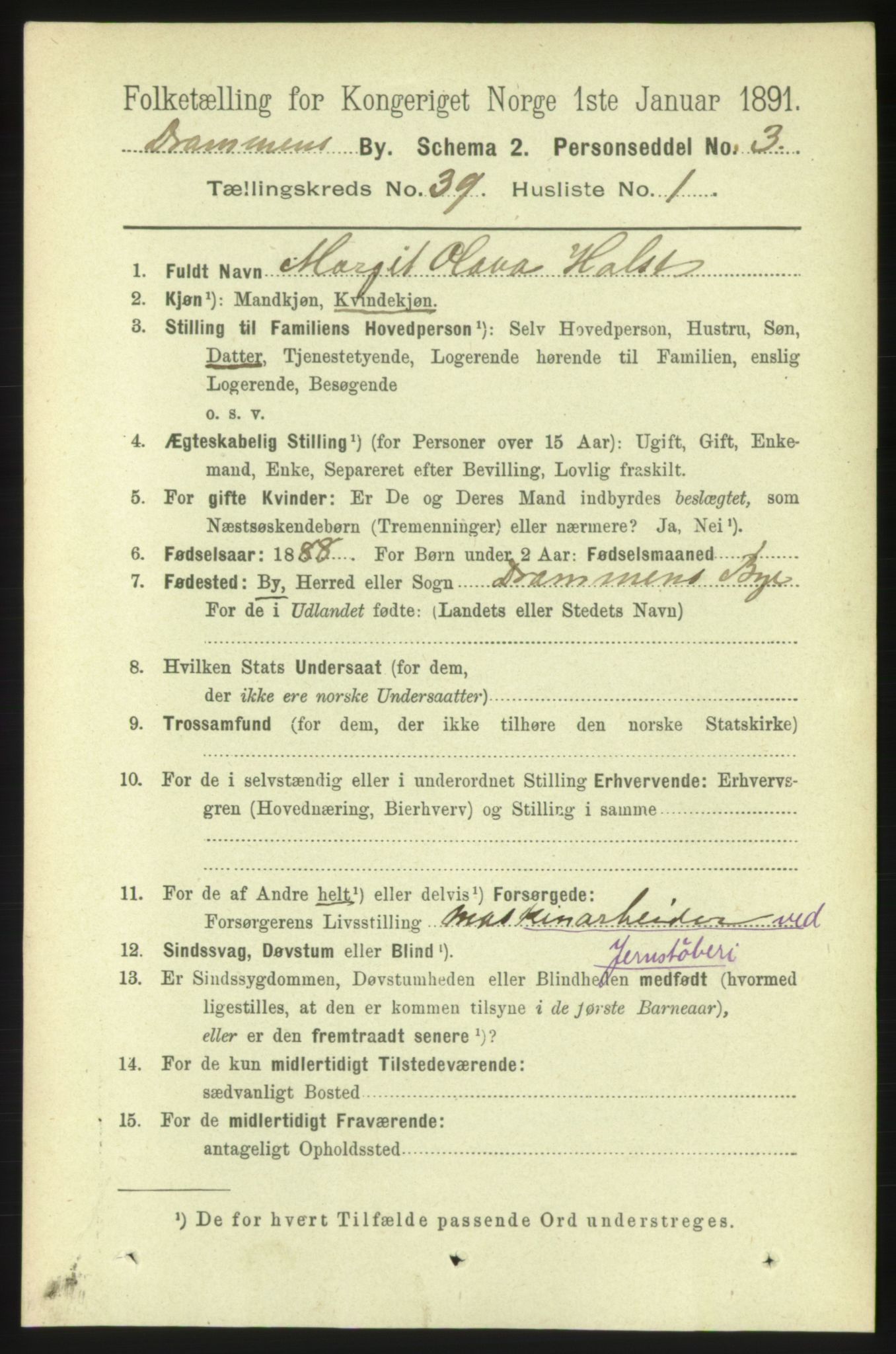 RA, 1891 census for 0602 Drammen, 1891, p. 23302