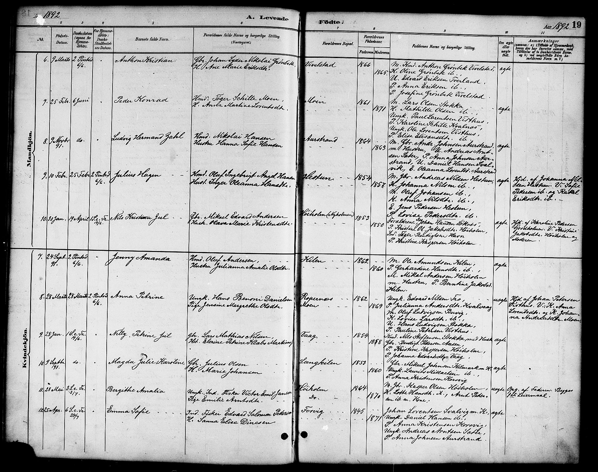 Ministerialprotokoller, klokkerbøker og fødselsregistre - Nordland, AV/SAT-A-1459/819/L0277: Parish register (copy) no. 819C03, 1888-1917, p. 19