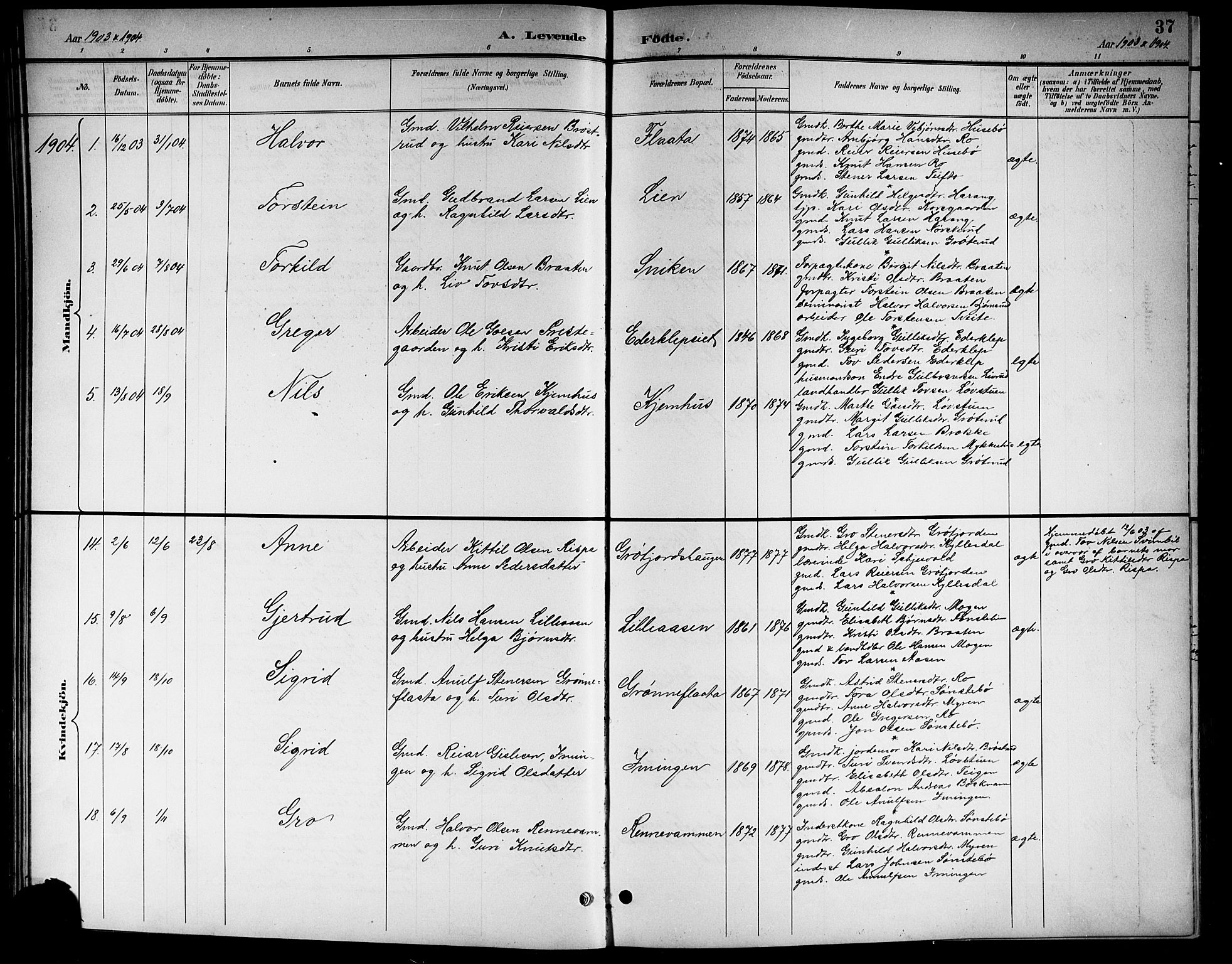 Nore kirkebøker, SAKO/A-238/G/Gb/L0003: Parish register (copy) no. II 3, 1894-1923, p. 37