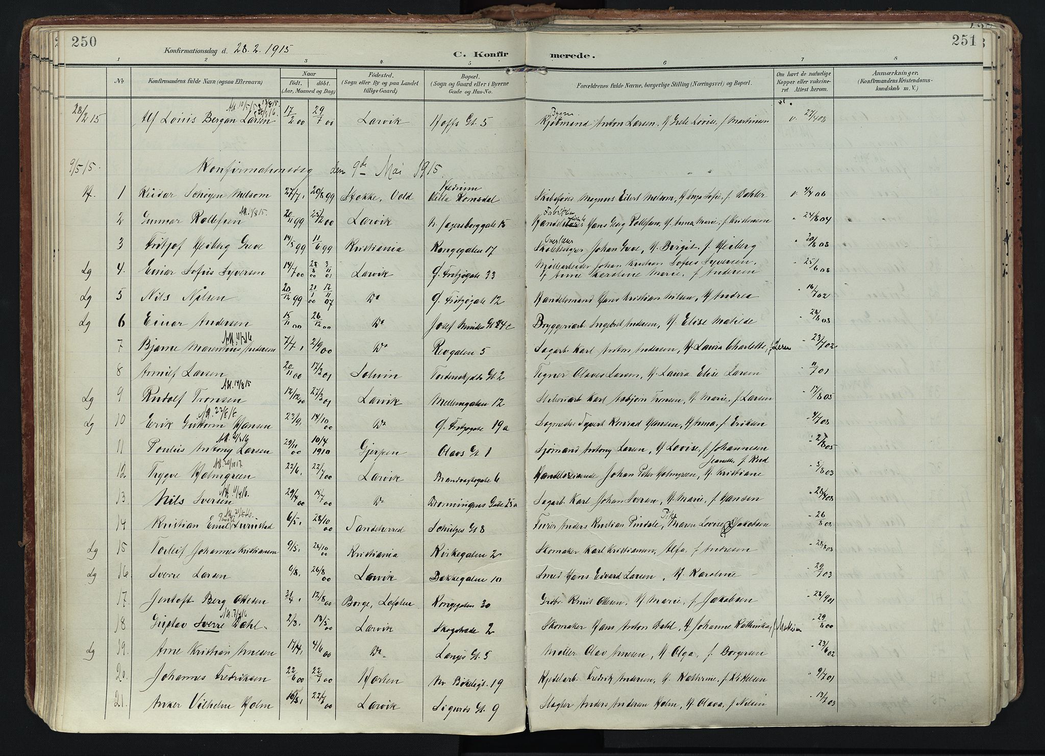 Larvik kirkebøker, AV/SAKO-A-352/F/Fa/L0011: Parish register (official) no. I 11, 1902-1922, p. 250-251