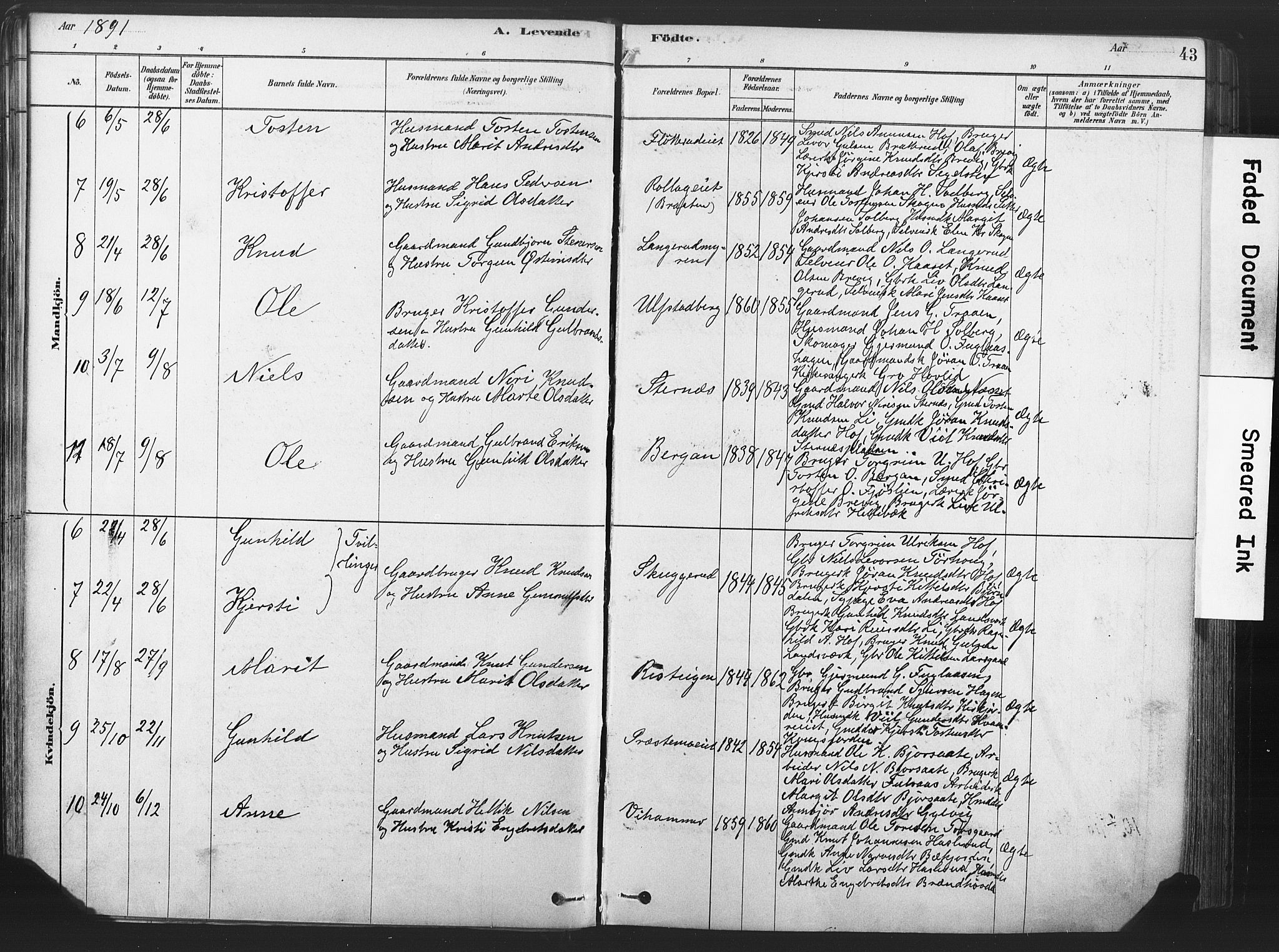 Rollag kirkebøker, AV/SAKO-A-240/F/Fa/L0011: Parish register (official) no. I 11, 1878-1902, p. 43