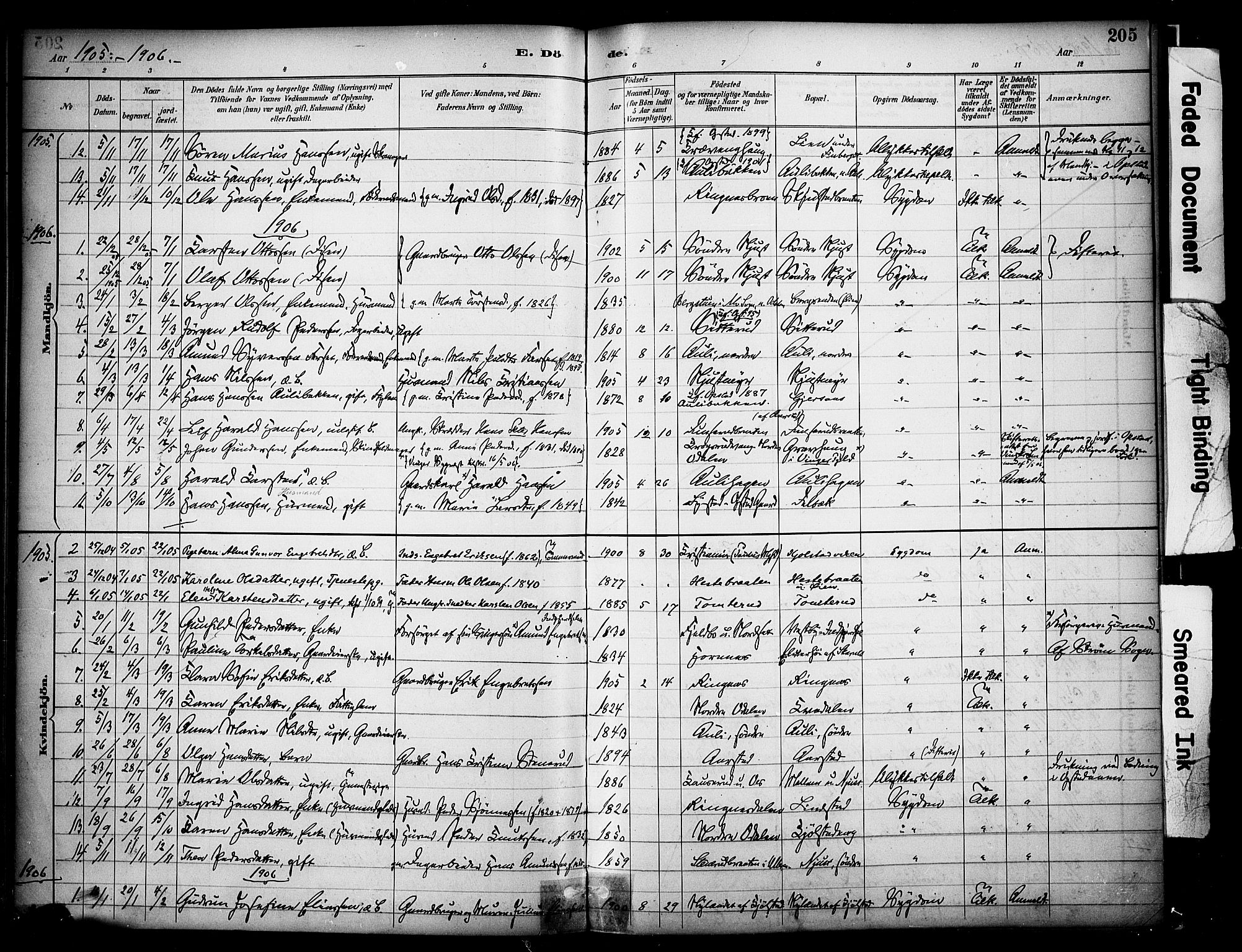 Sør-Odal prestekontor, SAH/PREST-030/H/Ha/Haa/L0009: Parish register (official) no. 9, 1886-1926, p. 205