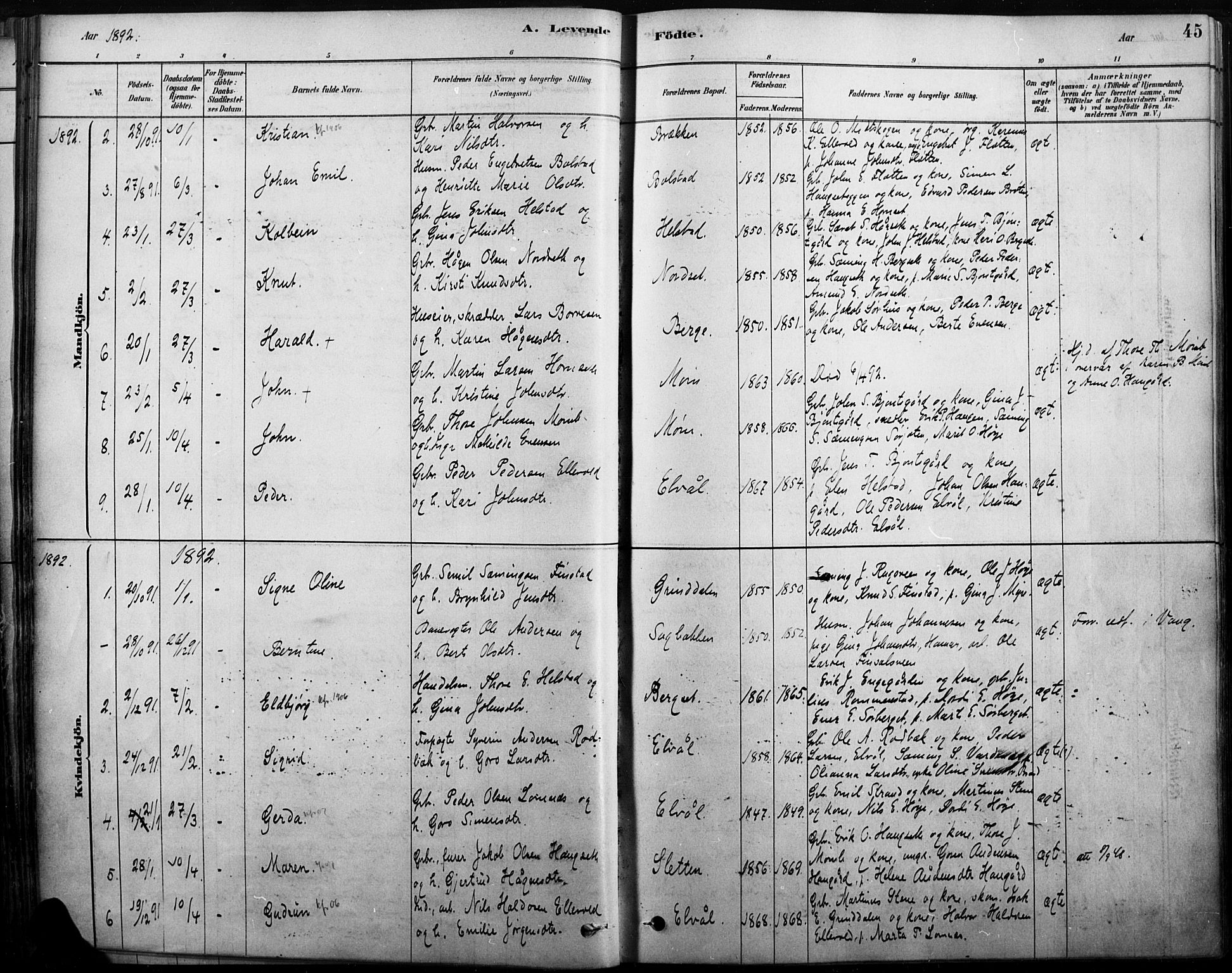Rendalen prestekontor, AV/SAH-PREST-054/H/Ha/Haa/L0009: Parish register (official) no. 9, 1878-1901, p. 45