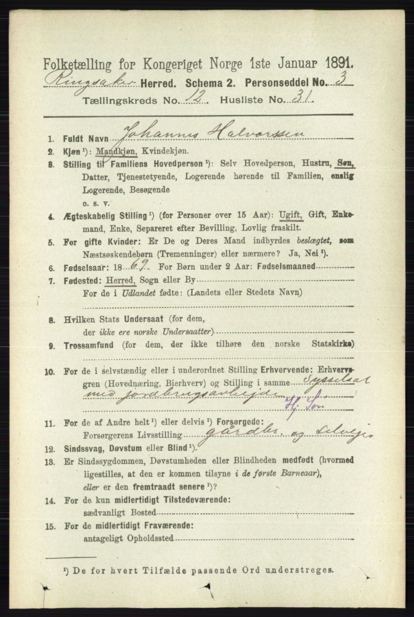 RA, 1891 census for 0412 Ringsaker, 1891, p. 6919