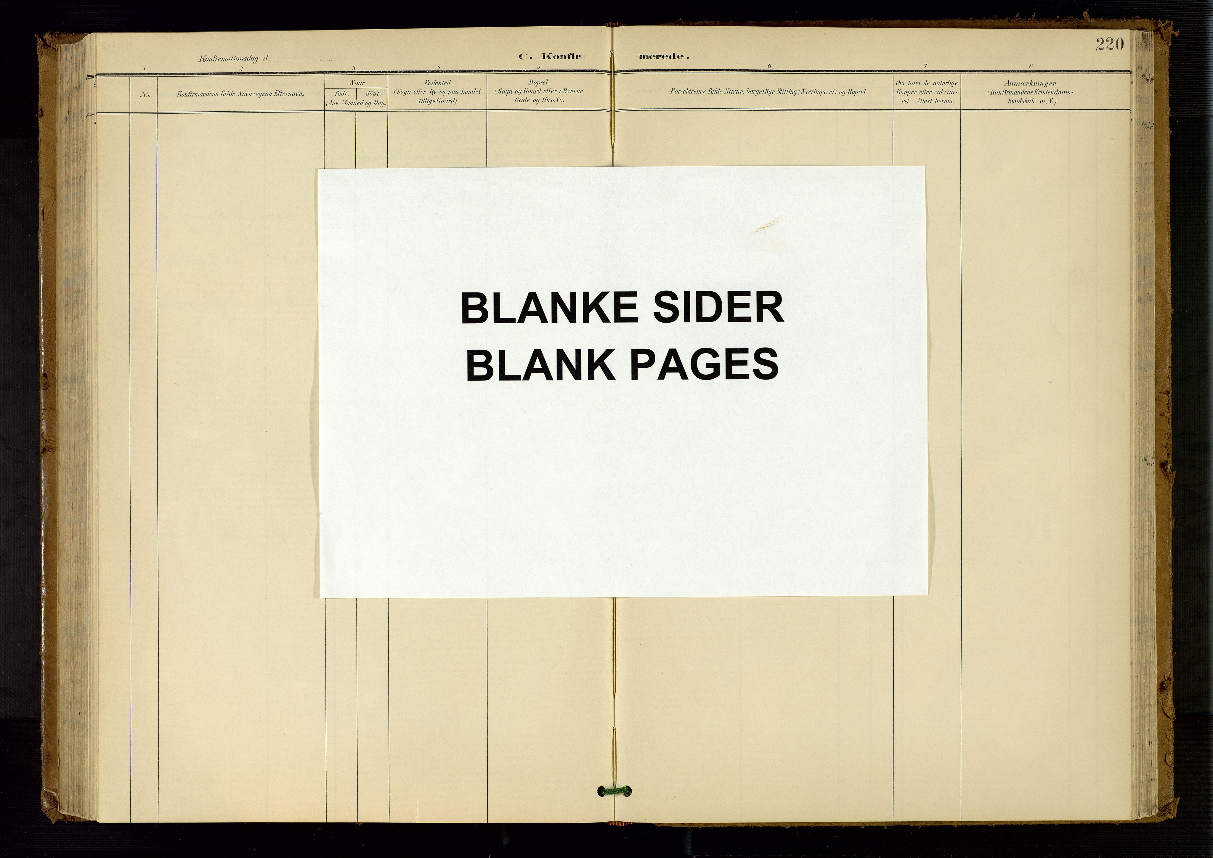 Søndeled sokneprestkontor, AV/SAK-1111-0038/F/Fb/L0005: Parish register (copy) no. B 6, 1900-1962, p. 220