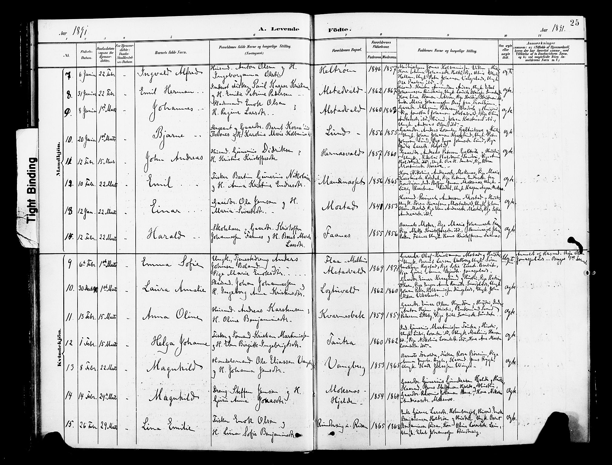 Ministerialprotokoller, klokkerbøker og fødselsregistre - Nord-Trøndelag, SAT/A-1458/713/L0121: Parish register (official) no. 713A10, 1888-1898, p. 25