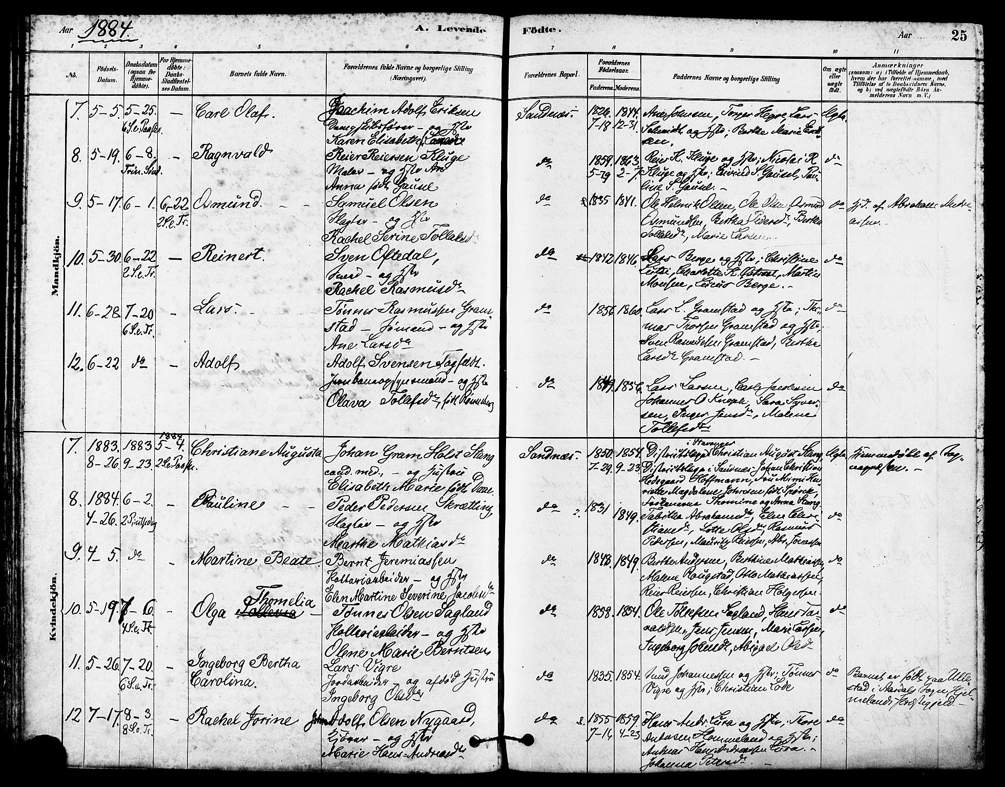 Høyland sokneprestkontor, AV/SAST-A-101799/001/30BA/L0012: Parish register (official) no. A 11, 1878-1889, p. 25