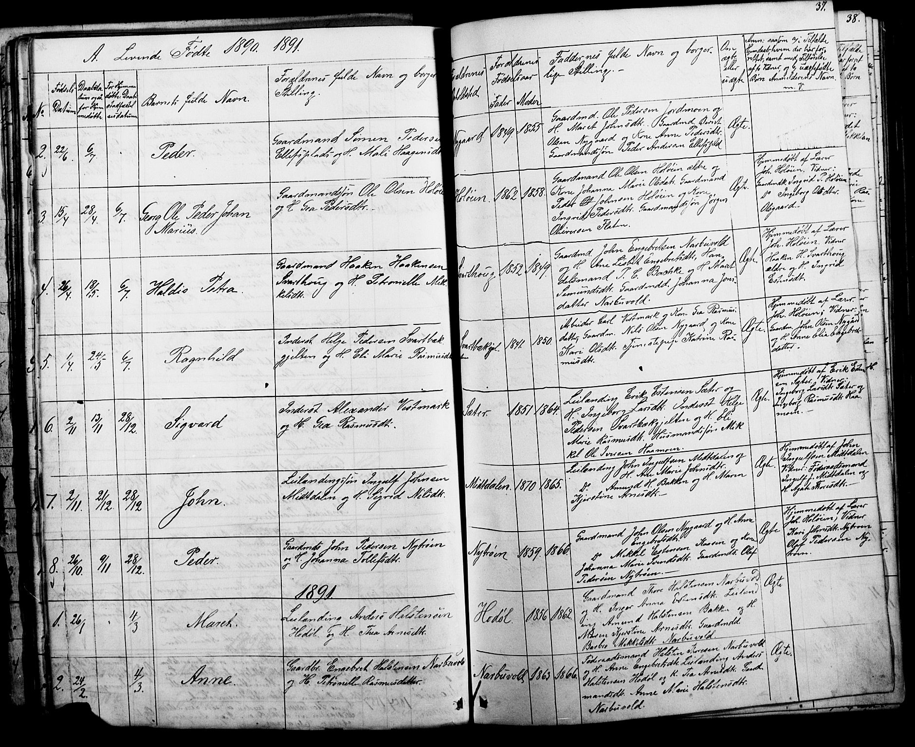 Tolga prestekontor, AV/SAH-PREST-062/L/L0006: Parish register (copy) no. 6, 1864-1894, p. 37