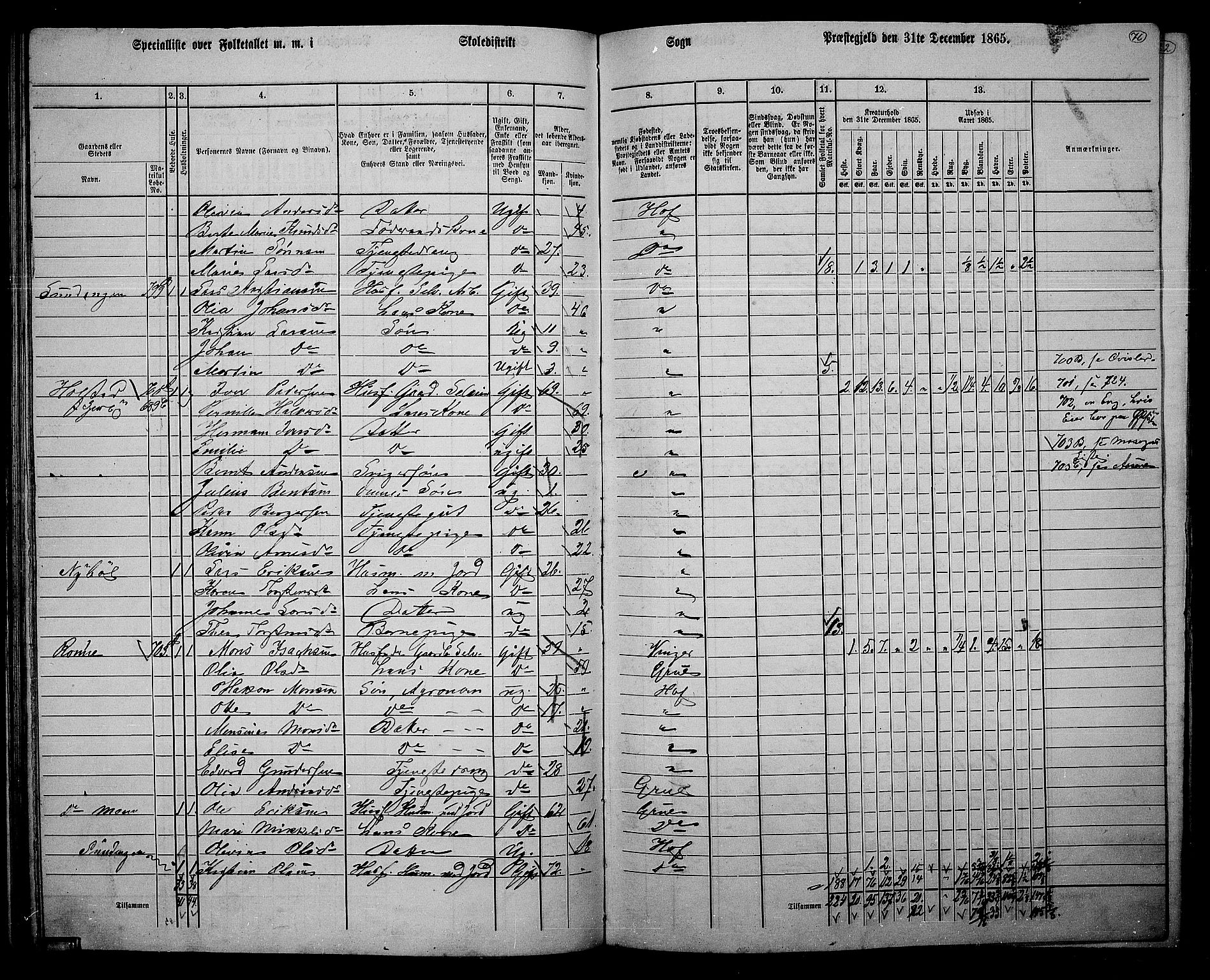 RA, 1865 census for Hof, 1865, p. 72