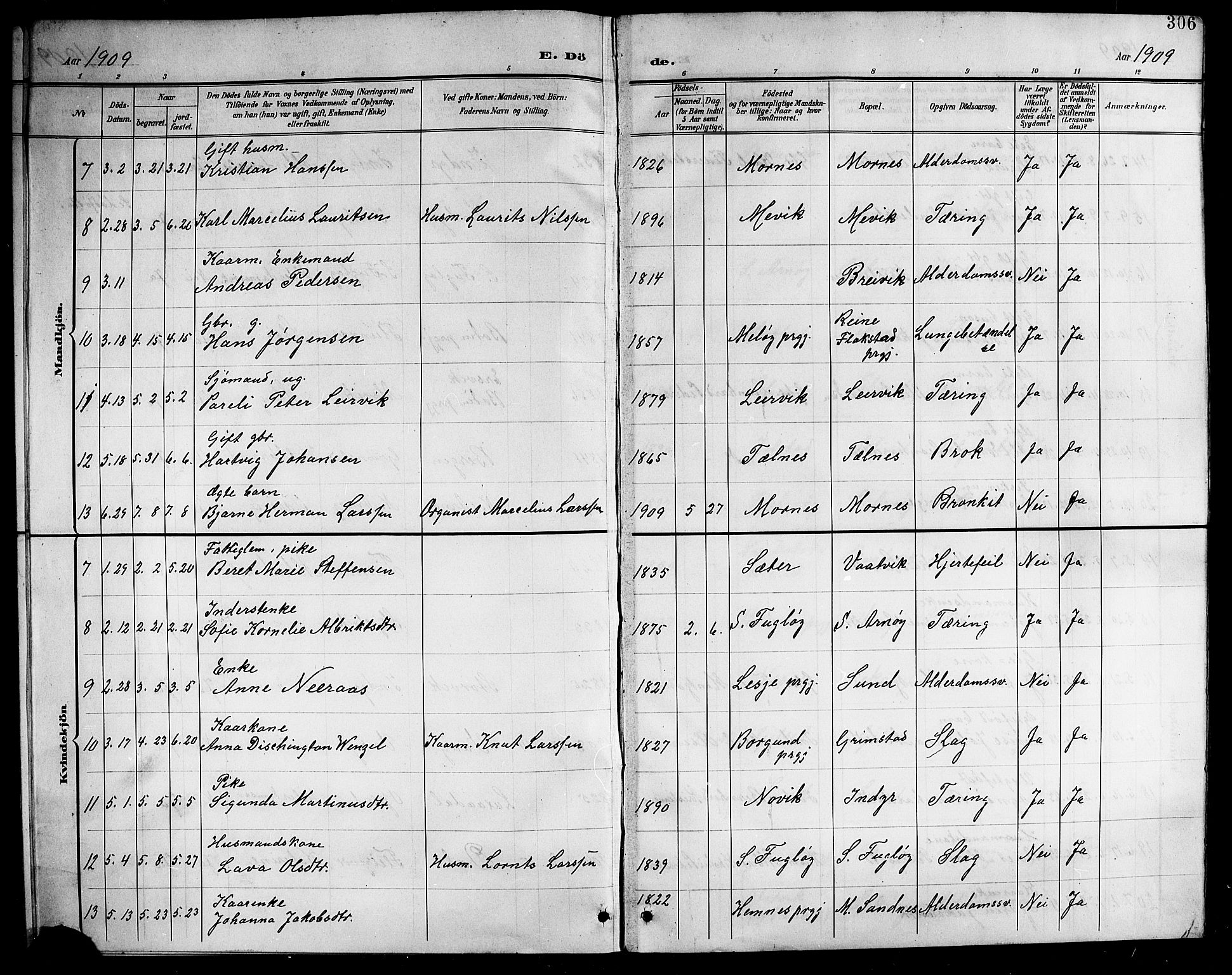 Ministerialprotokoller, klokkerbøker og fødselsregistre - Nordland, SAT/A-1459/805/L0109: Parish register (copy) no. 805C05, 1900-1911, p. 306