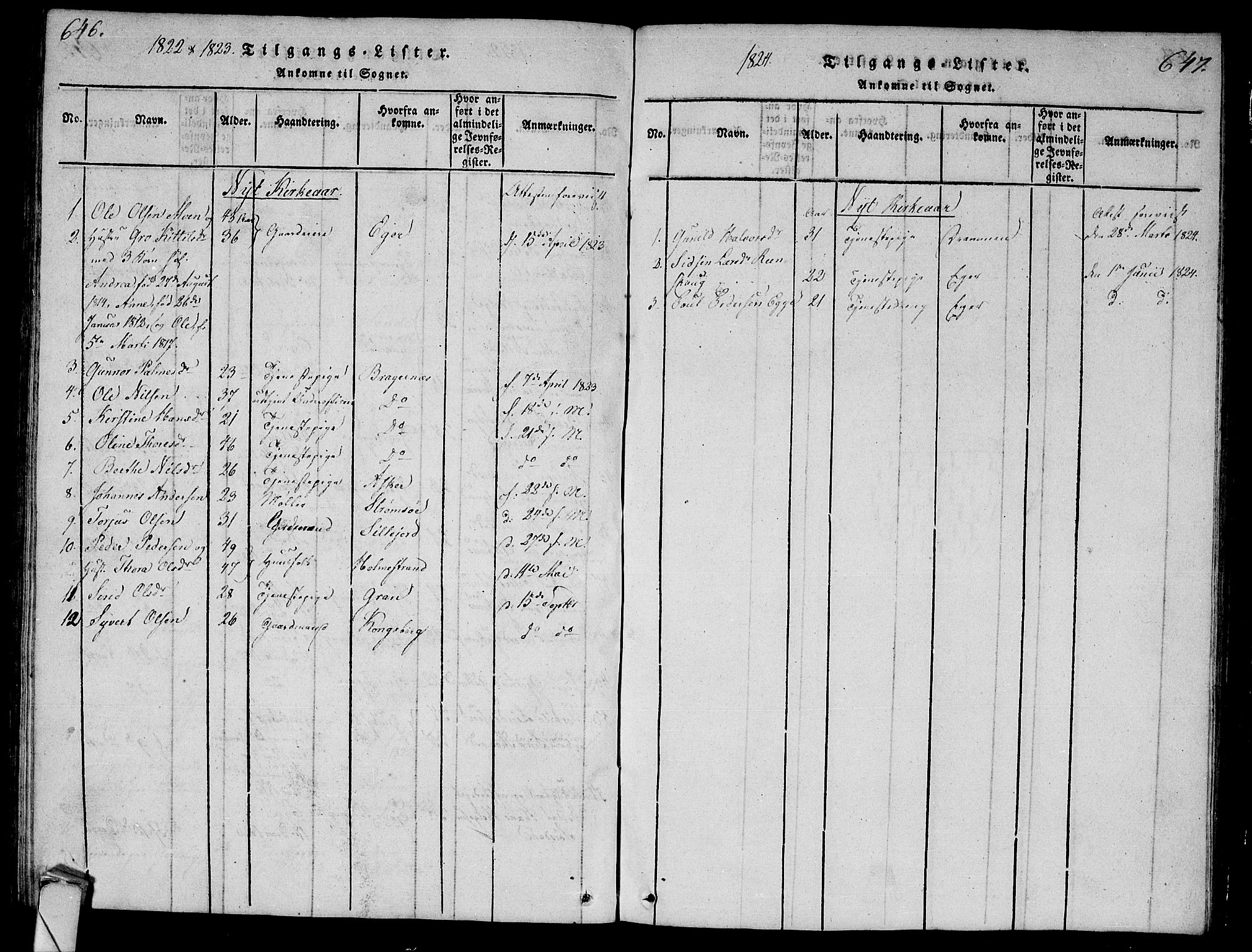 Lier kirkebøker, AV/SAKO-A-230/G/Ga/L0001: Parish register (copy) no. I 1, 1813-1824, p. 646-647