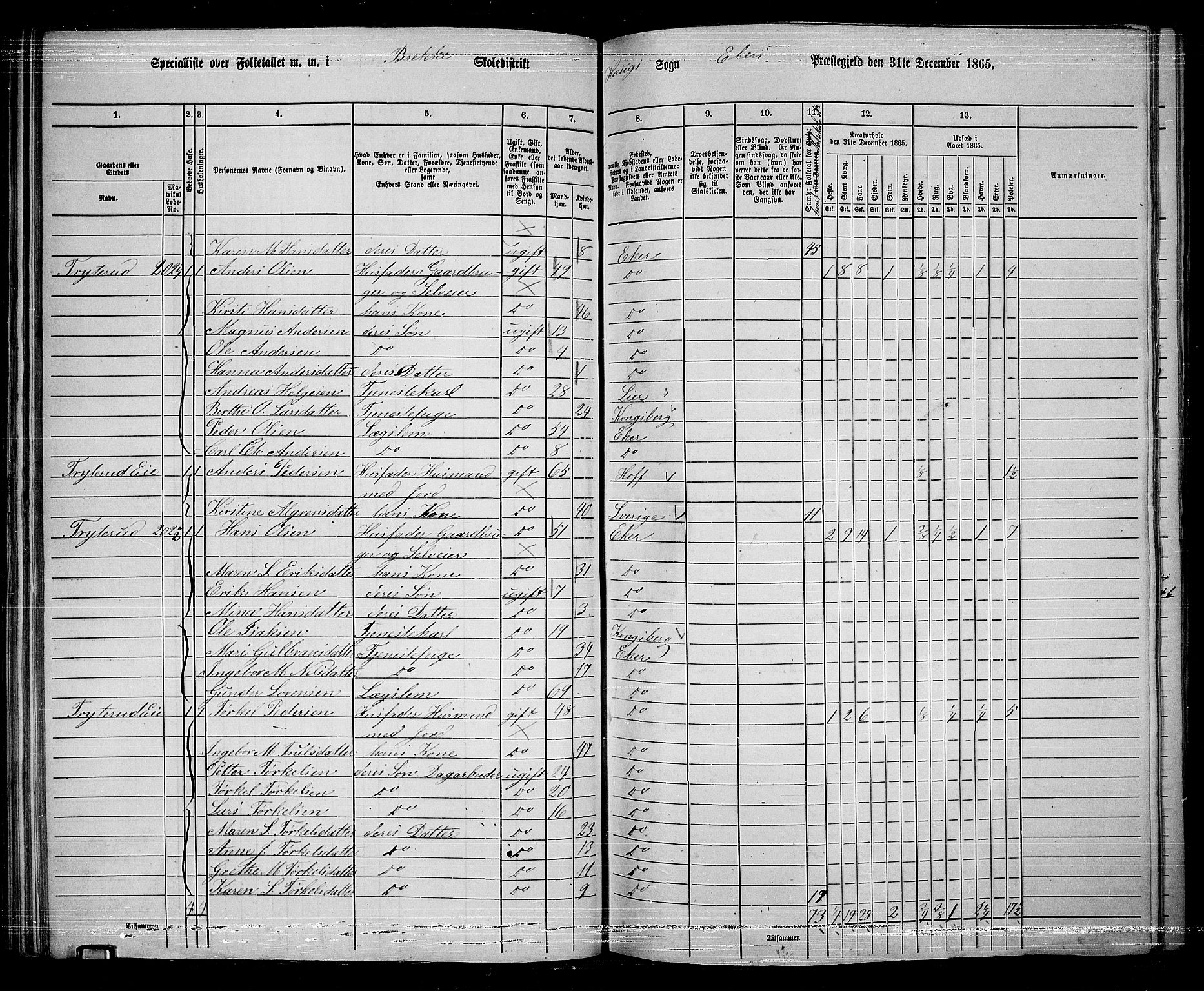 RA, 1865 census for Eiker, 1865, p. 74