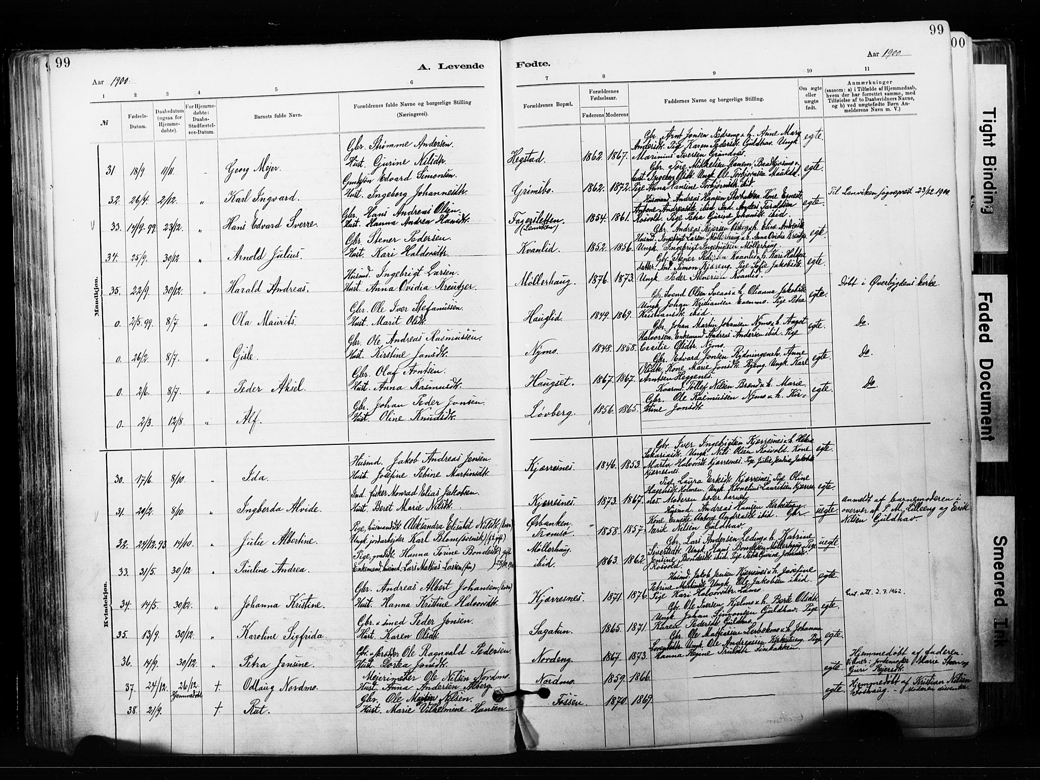 Målselv sokneprestembete, AV/SATØ-S-1311/G/Ga/Gaa/L0007kirke: Parish register (official) no. 7, 1884-1903, p. 99