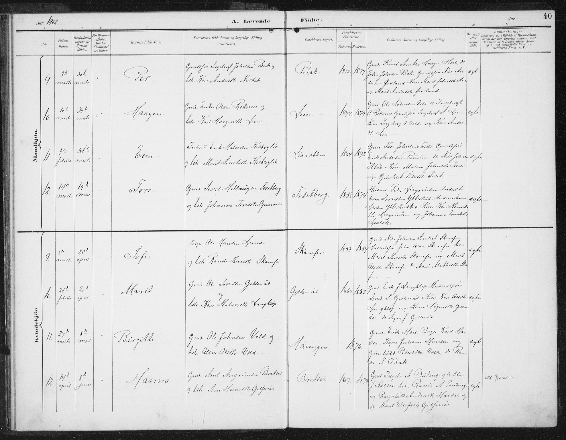 Ministerialprotokoller, klokkerbøker og fødselsregistre - Sør-Trøndelag, AV/SAT-A-1456/674/L0872: Parish register (official) no. 674A04, 1897-1907, p. 40