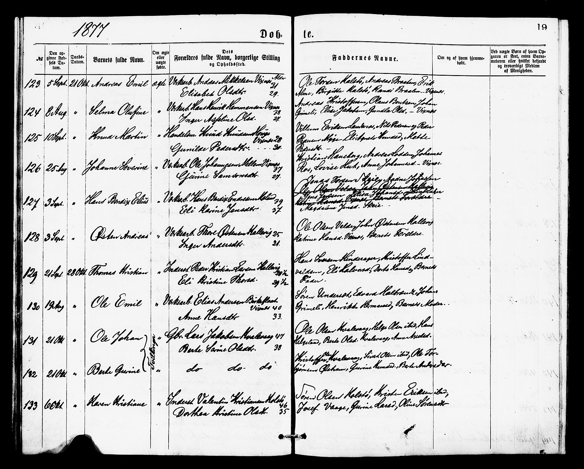 Avaldsnes sokneprestkontor, AV/SAST-A -101851/H/Ha/Haa/L0013: Parish register (official) no. A 13, 1876-1879, p. 19